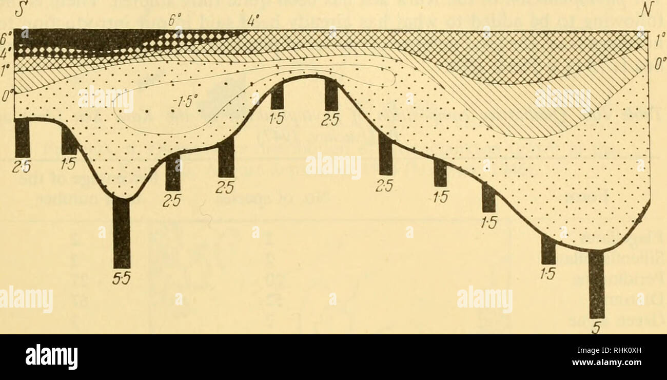 . Biologie der Meere der UDSSR Meeresbiologie - Sowjetunion; Hydrologie - Sowjetunion. Der KARASEE 231 wurde von Hessle (1924) für die Ostsee vorgeschlagen, durch die giftigen pro-perties des Mangans. Wie wurde darauf hingewiesen von T.Gorshkova (1957), der Anteil an organischem Kohlenstoff in der oberen Schicht der Karasee, vergleichsweise klein ist, variieren zwischen 0-27 und 1-99. Keine dieser drei Gründe erklärt die Tatsache, dass Einige Tierarten gedeihen. Abb. 98. Temperatur Querschnitt entlang der Karasee vom Karskie Vorota in Richtung NNE bis 81°N Breitengrad in Mitte September 1946 Stockfoto