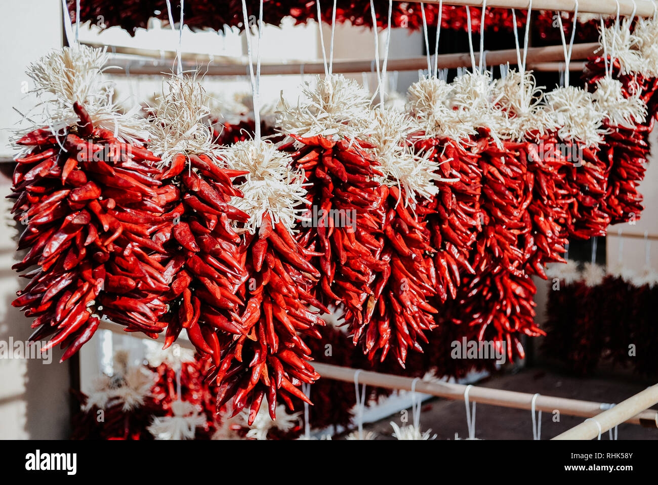 Die berühmte New Mexico rote Chile. Stockfoto