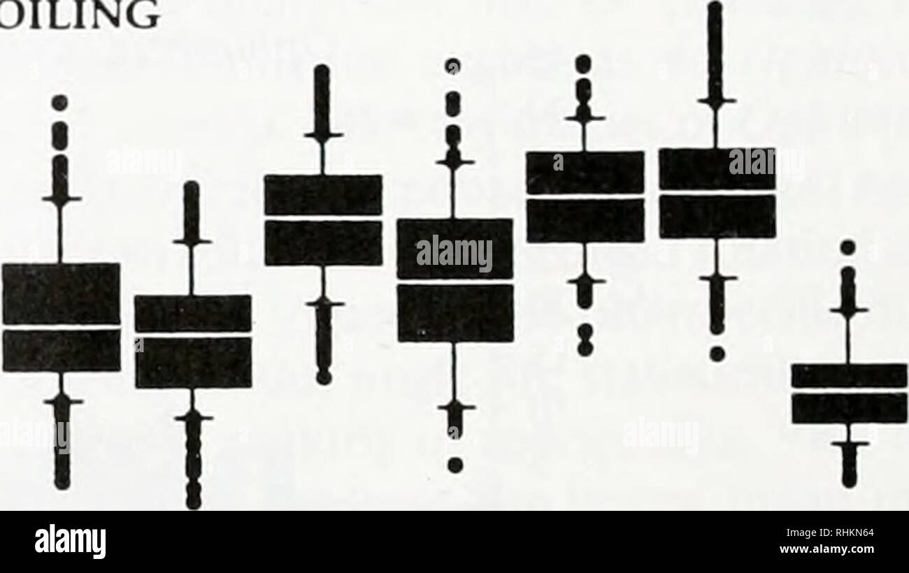 . Die biologische Bulletin. Biologie; Zoologie; Biologie; Meeresbiologie. B 3°: E3'E • • • • wickeln. * Abbildung 10. Boxplots Vergleich der Bereich der maximalen interseg - geistige Winkel (WmaJ für Arten der Fortbewegung (A) und (B) wickeln Experimente. Spulen. Die einzelnen Arten, die bei Tageslicht ausgesetzt ist (Ophiothrix suensonii) Zeigt die weniger Wechsel zwischen Ex-perimental Behandlungen. Diese Verhaltensmuster Abweichungen können verwirren Vergleiche von Muskel-skelett-Leistung, selbst wenn schlangensterne zum "gleichen" Aktivitäten durchführen. Für zwei Arten unter den gleichen Bedingungen, die tatsächlichen Biegen kann Clos. Stockfoto