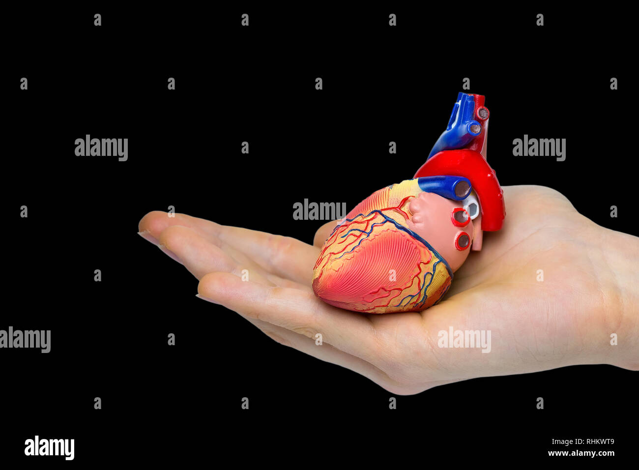 Hand mit künstlichen menschlichen Herzen Modell auf schwarzem Hintergrund Stockfoto
