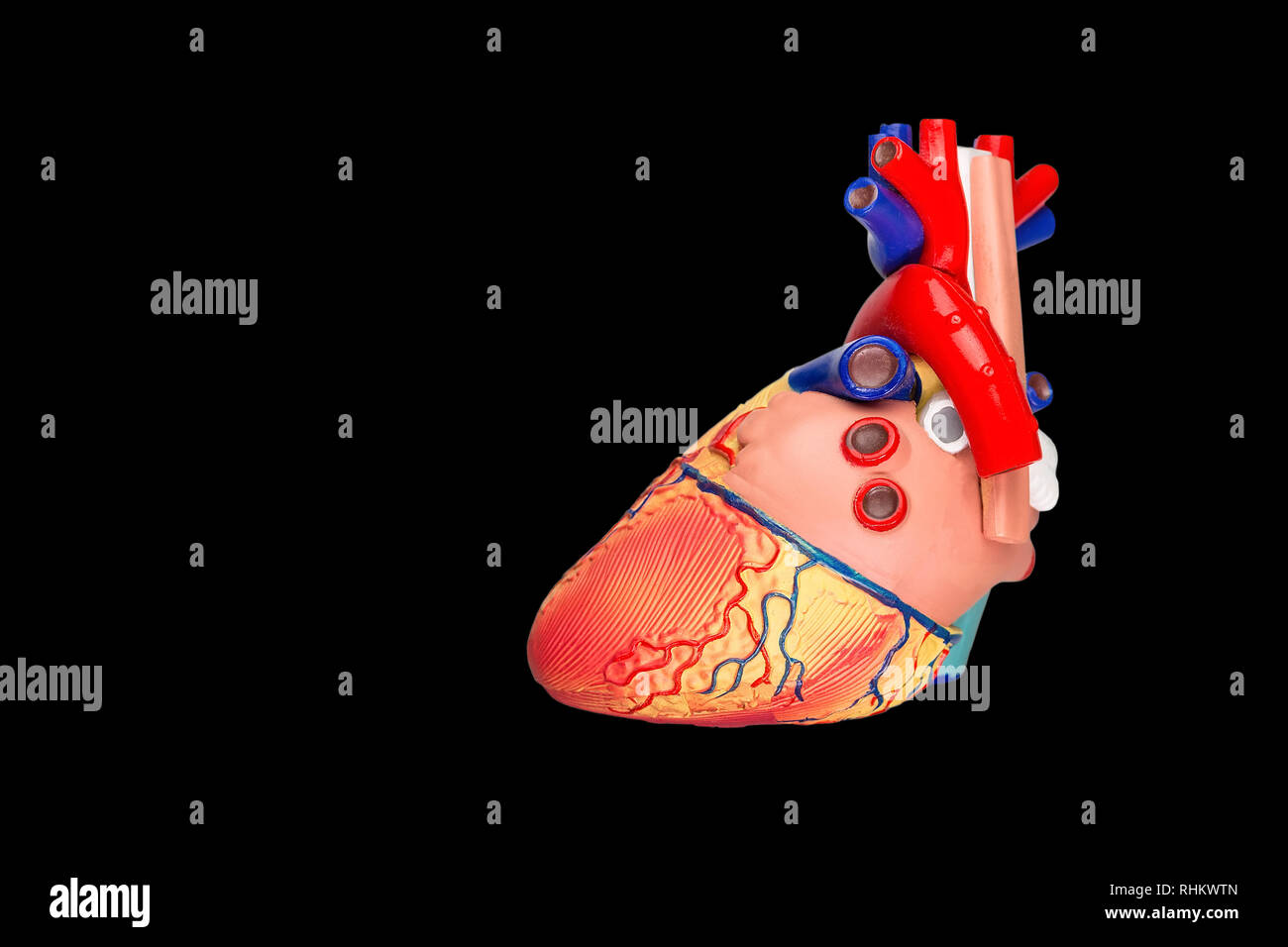 Künstliche menschliche Herz Modell auf schwarzem Hintergrund Stockfoto