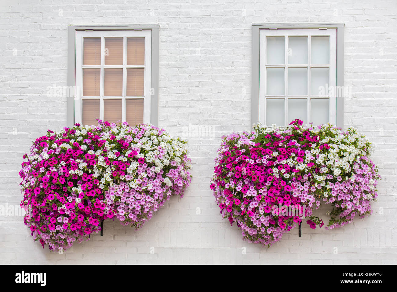 Weiße Mauer mit Windows und Blumen in Blumenkästen Stockfoto