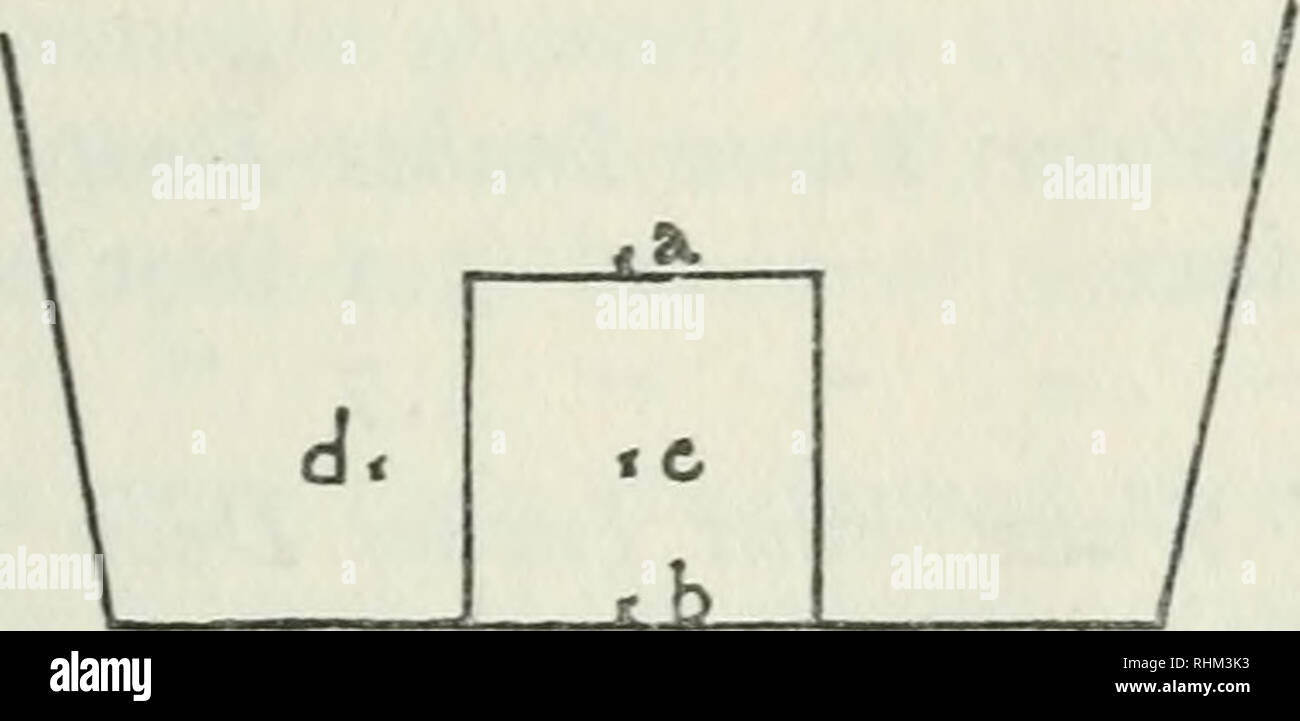 . Biologische Serie. Biologie. Clemens: Ökologische Studie von Chirotenetes 17 w Geschwindigkeit von 2,8 Meter pro Sekunde. "G" "h" 2.9" 3.7" "j" i.o "" "k" zu^ Mall mit Das Pitotrohr gemessen werden. In einem Kanal 7^2 Zoll tief und drei Meter breit, unten Geschwindigkeit war ich. 5 Fuß pro Sekunde; nah an der Oberfläche die Geschwindigkeit war 2,5 Meter pro Sekunde. Ein Stein fast würfelförmig in Form war in diesem Kanal setzen. Bei einer auf Stein Geschwindigkeit von 2,9 m pro Sekunde. "B hinter Stein an der Unterseite Geschwindigkeit von 0,5 m pro Sekunde. "C Stockfoto