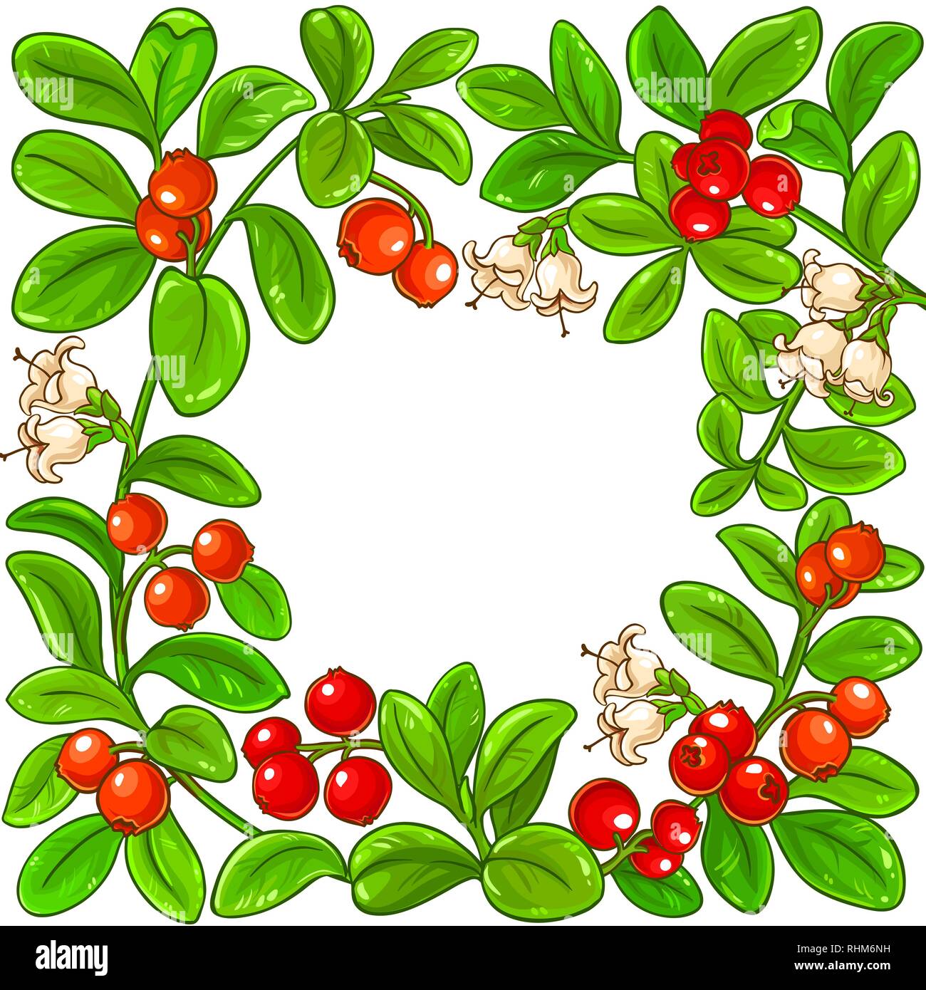 Preiselbeere vektor Rahmen auf weißem Hintergrund Stock Vektor