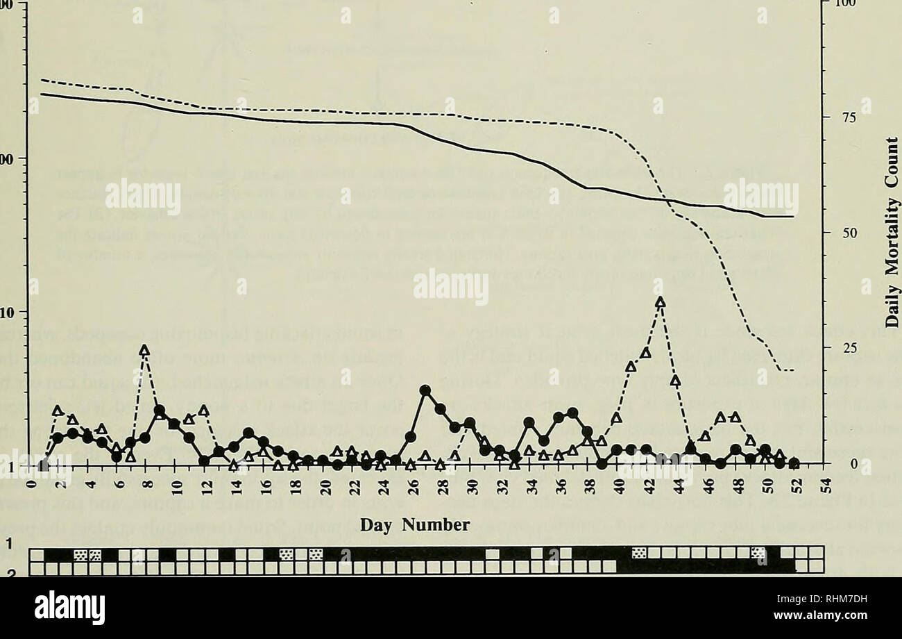 . Die biologische Bulletin. Biologie; Zoologie; Meeresbiologie. PREY CAPTURE IN DER ENTWICKLUNG VON SQUID 71 Angriff Abstand, definiert als die Luftlinie - die Spitze von Waffen die Kalmare" und die copepoden am Rahmen vor dem eigentlichen Angriff ("d" im Bild. 2), wurde der Monitor mit Hilfe einer Schieblehre präzise zu 0.00254 cm gemessen und mit den Mantel Länge (ML) des Squid normiert. Angriff Geschwindigkeit war als der größte Abstand von der squid Fahrstrecke zwischen zwei aufeinanderfolgenden Frames während des Angriffs Ausfallschritt berechnet und ist in ML/Frame ausgedrückt. Angriffe, bei denen der Kalmar wurde offensichtlich Stockfoto