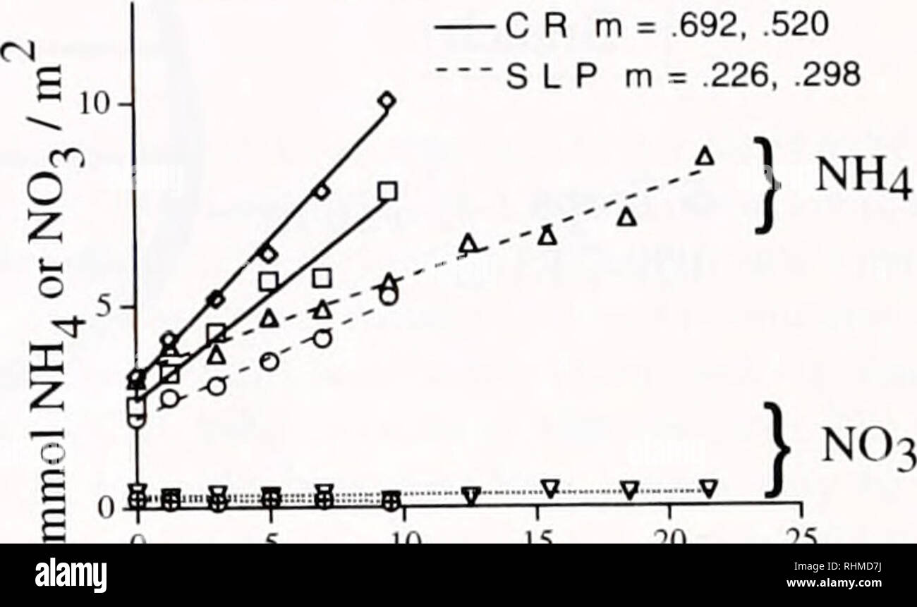 . Die biologische Bulletin. Biologie; Zoologie; Biologie; Meeresbiologie. 240 BERICHTE AUS DER MBL ALLGEMEINE WISSENSCHAFTLICHE SITZUNGEN Bezug: Biol. Bull. 195: 240-241. (Oktober 1998) gelösten anorganischen Stickstoff Flux und Mineralisierung in Waquoit Bay Sedimente, gemessen am Core Inkubationen John Kirk/nit Rick und Ken Vorarbeiter (Ökosysteme, Marine Biologische Laboratorium, Woods Hole, Massachusetts, 02543), und Ivan Valiela 2 Global, menschliche Aktivitäten haben sich verdoppelt die Rate, mit der die atmosphärischen Distickstofftetroxid in bioavailable Formen wie Ammonium und Nitrat (1) fixiert ist. Lokal, dieser Anstieg der N Stockfoto