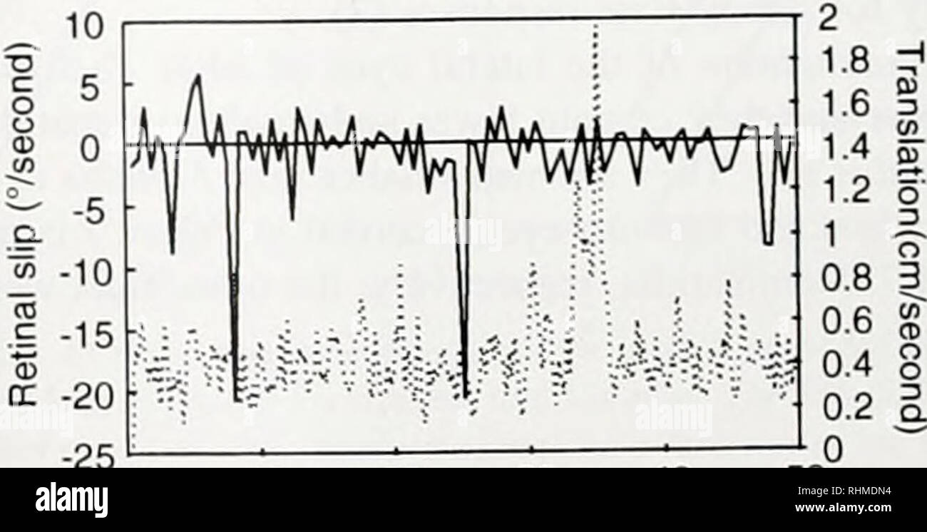 . Die biologische Bulletin. Biologie; Zoologie; Biologie; Meeresbiologie. 150 1 10 0,8 0,6 0,4 0,2 0 zeitliche Frequenz (Hz) 100 0 10 20 30 40 50 60 Flash Dauer (Millisekunden). 0 20 30 Sekunden Abbildung 1. ERG Amplitude in der Reaktion auf die Unterschiede in der Häufigkeit (A) und (B) der LED-Blitz. A. Das Flackern fusion Frequenz für diese Bedingungen war ca. 32 Hz für düster-angepasst (gestrichelte Linie} und 50Hz für Licht - angepasst (durchgezogene Linie) Tiere, beziehungsweise. Die impulsantwort Funktionen für dunkle und helle angepasst, Krabben, aus dem Frequenzgang Daten geschätzt, werden im Einsatz gezeigt. B. Die Stockfoto