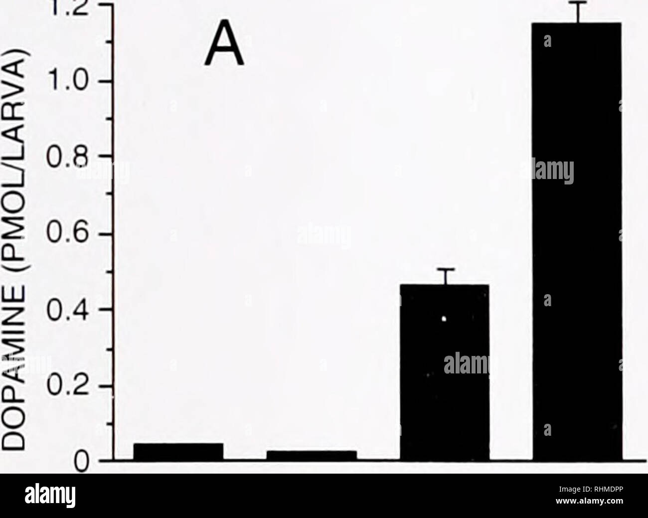 . Die biologische Bulletin. Biologie; Zoologie; Biologie; Meeresbiologie. Katecholamine moduliert Metamorphose 323 1,2-1. MBL oc-MMT a-MMT L-DOPA+L-DOPA 0,6-i B 0,5-LU&lt; 11 Q -in-J 0,4 - LJJ 9 0,3-LUCC™ O o. Bitte beachten Sie, dass diese Bilder sind von der gescannten Seite Bilder, die digital für die Lesbarkeit verbessert haben mögen - Färbung und Aussehen dieser Abbildungen können nicht perfekt dem Original ähneln. extrahiert. Marine Biologische Laboratorium (Woods Hole, Massachusetts); Marine Biologische Laboratorium (Woods Hole, Massachusetts). Jahresbericht 1907/1908-1962; Lillie, Frank Rattray, 1870-1947 Stockfoto