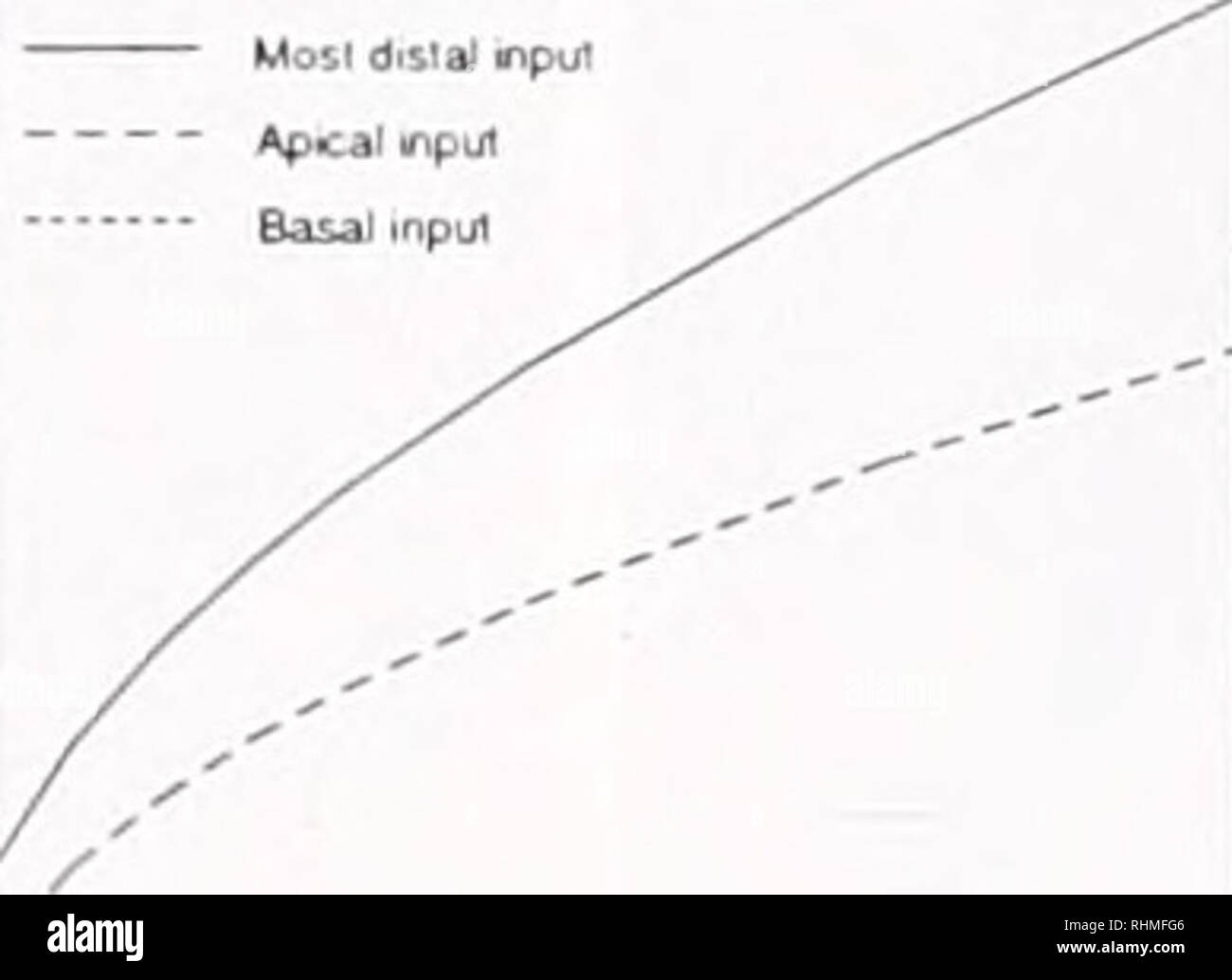 . Die biologische Bulletin. Biologie; Zoologie; Biologie; Meeresbiologie. Abbildung 1. Auswirkung/synaptic Hintergrund Häufigkeit (in synuplic Ereignisse pro Sekunde: Hz) auf zelluläre Parameter der Schicht I' Zelle im Text beschrieben, (a) Somatische Eingangswiderstand. R, n, in lüge ich fehlen Abl. Jede aktive Strömungen (oben citne; passive Neuron) und in unserem Standard Modell (untere Kurve). Über diesen Bereich, der somatischen Eingang Leitwert variiert von 9.1 nS (bei f=0) Lo 151 nS (bei f = 7 Hz) (h) Membran Zeitkonstante. rm am Zellkörper gemessen, (c) Somatische ruhenden Potential. Ich',,,,,, (d) Elek- trotonic Abstand. L, fr Stockfoto