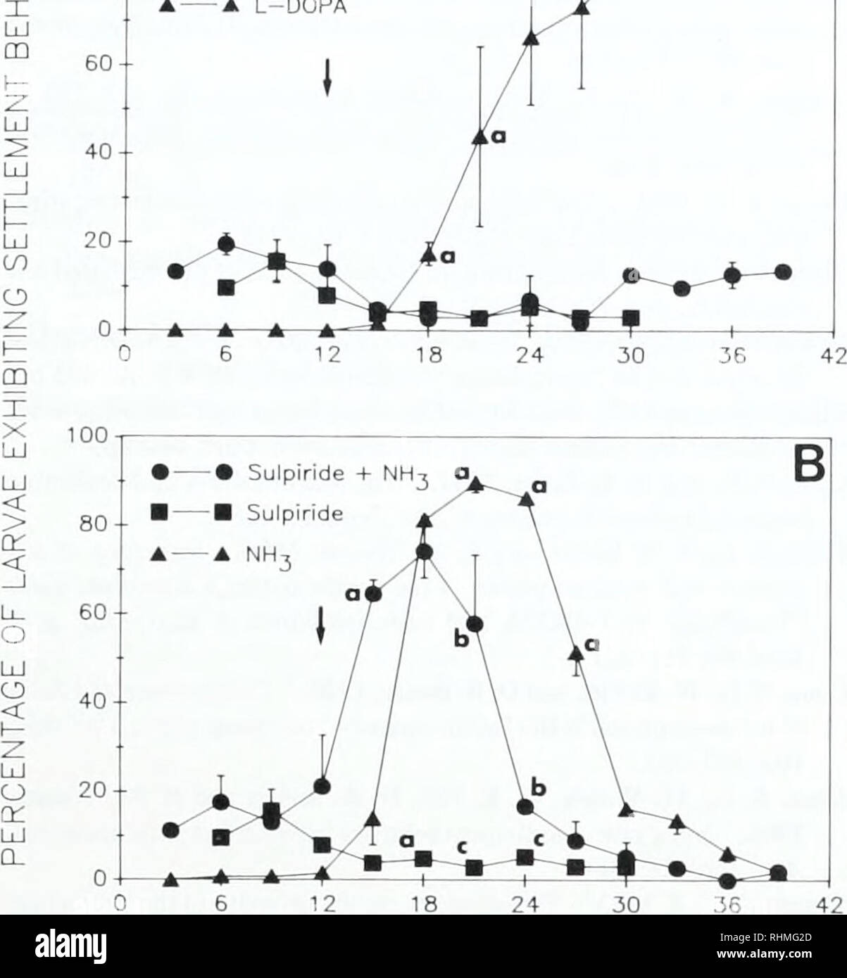 . Die biologische Bulletin. Biologie; Zoologie; Biologie; Meeresbiologie. Ammoniak INDUZIERT OYSTER SIEDLUNG 301 100-o: O 80 - - - • Sulpiride+L-DOPA • Sulpiride-A L-DOPA. D TIME (min) Abbildung 4. Prozentsätze der Ciuwnlmi xixax Larven, die Settle-ment Verhalten als Funktion der Länge von der Dauer der Exposition gegenüber NH, oder L-DOPA in Anwesenheit von sulpiride. Sulpiride ist ein Dopa-minergic-Rezeptor-Antagonist. (A) Wirkung der sulpiride auf die Fähigkeit von L-DOPA Siedlung Verhalten zu veranlassen. (B) Auswirkungen der sulpiride auf die Fähigkeit der NH, Siedlung Verhalten zu veranlassen. Larven wurden vor inkubieren. Stockfoto