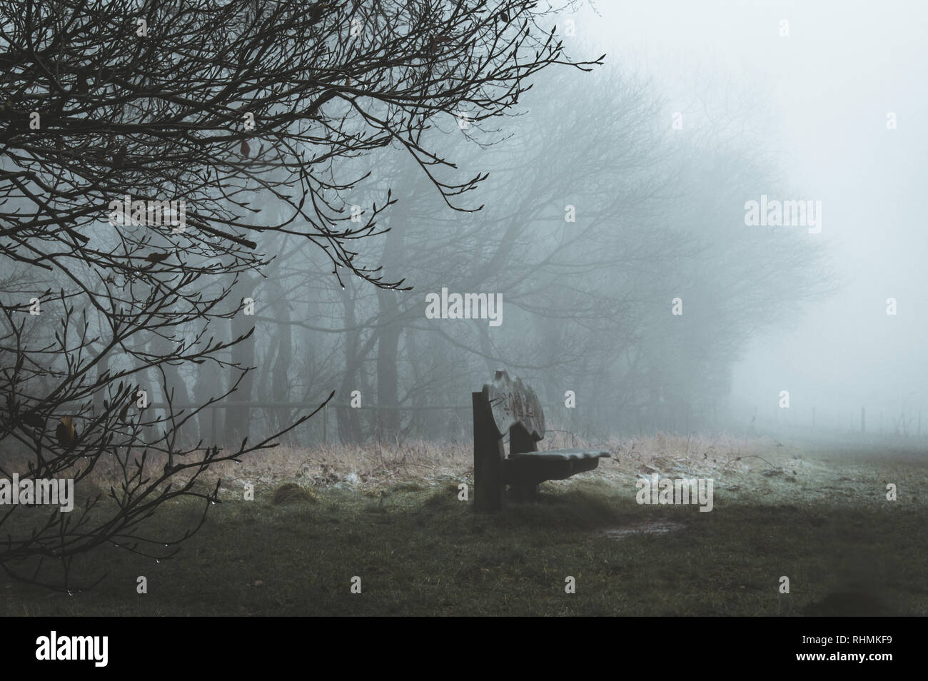 Eine Holzbank am Rande von Wald auf einen unheimlichen nebligen Wintertag. Mit einem Moody bearbeiten. Stockfoto