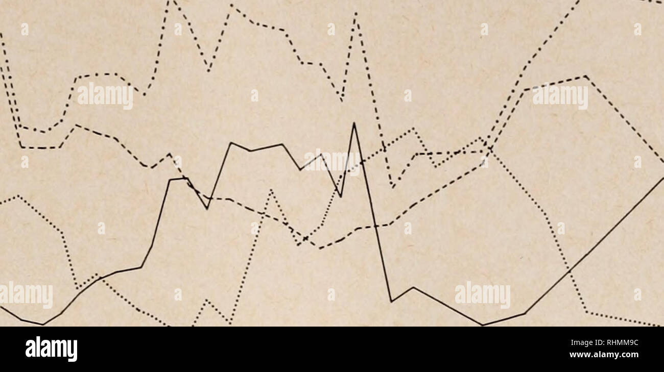 . Die biologische Bulletin. Biologie; Zoologie; Biologie; Meeresbiologie. STARFISH FEEDING UND REPRODUKTION 135 ORGEL INDEX 20 15 10 KEIMDRÜSE INDEX INDEX INDEX SUMME PROZENT DER LEBER füttern. 00 80 PROZENT DER FÜTTERUNG 60 40 20 1962 1963 j 1964 Abbildung 3. Saisonale Veränderungen in der gonaden und hepatische Indizes, Prozent Fütterung und der Summe der Gonaden und hepatische Indizes. Beachten Sie, dass die Orgel Indizes etwa invers zueinander sind, und dass die Fütterung Kurve ist ähnlich wie die der Leber Index, aber verzögert über 4 Monate. Im Mai; der Index steigt im Sommer auf einem Höchststand im November, und fällt, bis die ne Stockfoto