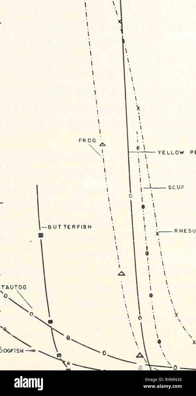 . Die biologische Bulletin. Biologie; Zoologie; Biologie; Meeresbiologie. 378 DONALD KENNEDY UND ROGER D. MILCHMANN Arten; die scup (Stenotomus versicolor), im Sommer Flunder (Pardichthys dentatus}, die rudderfish (Serolia Sonate], und das Meer Robin (Prionotus evolans), alle marinen Arten; und der grasfrosch (Rana Pipiens). Die absorptionsspektren von Linsen in dieser Gruppe sind in etwa vergleichbar (Abb. 1), außer, dass der Frosch, in dem die Abschaltung an einem definitiv kürzere Wellenlänge auftritt. Dies wird weiter unten besprochen werden. 2.0 OPTISCHE DICHTE 1.0 .8 .6 .4 .2 gelbe Stange. Spektrale Transmission von Stockfoto
