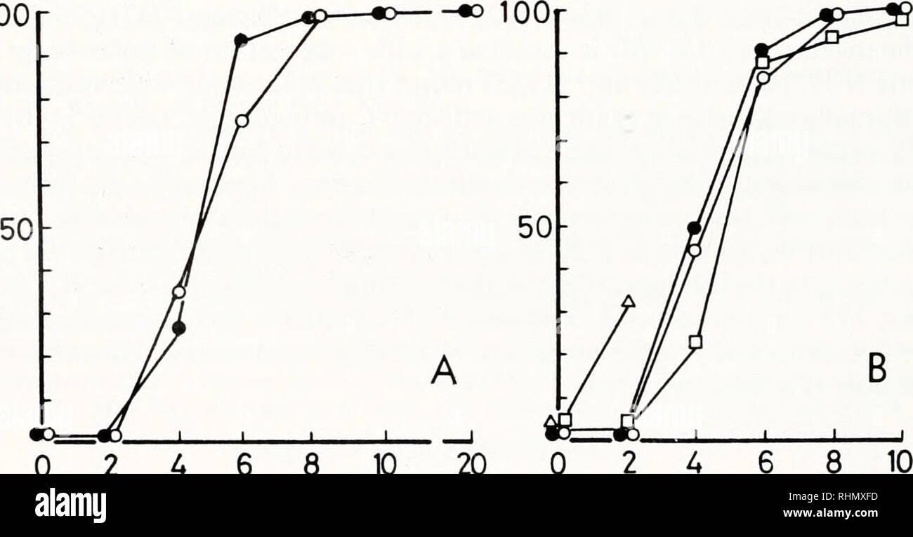 . Die biologische Bulletin. Biologie; Zoologie; Biologie; Meeresbiologie. 526 C. OBATA UND S. NEMOTO frei von der follikulären Umschlag bereit waren, durch die Behandlung von isolierten Eierstöcke mit Ca-freie künstlichem Meerwasser (CaFSW), wie bereits berichtet (Nemoto et al., 1980). Nach mehrmaligem Waschen mit normalem Meerwasser (NSW), behandelten wir die isolierten Eizellen mit 106 M1-methyladenine (1-MeAde; Sigma Chemical Co.) in NSW zu induzieren Meiose (Kanatani, 1969). Spermien waren durch mehrere Schnitte in isolierten Hoden gewonnen. Methylxanthine wie Koffein (Sigma), Theophyllin (Wako Pure Chemical Co.), Theo Stockfoto