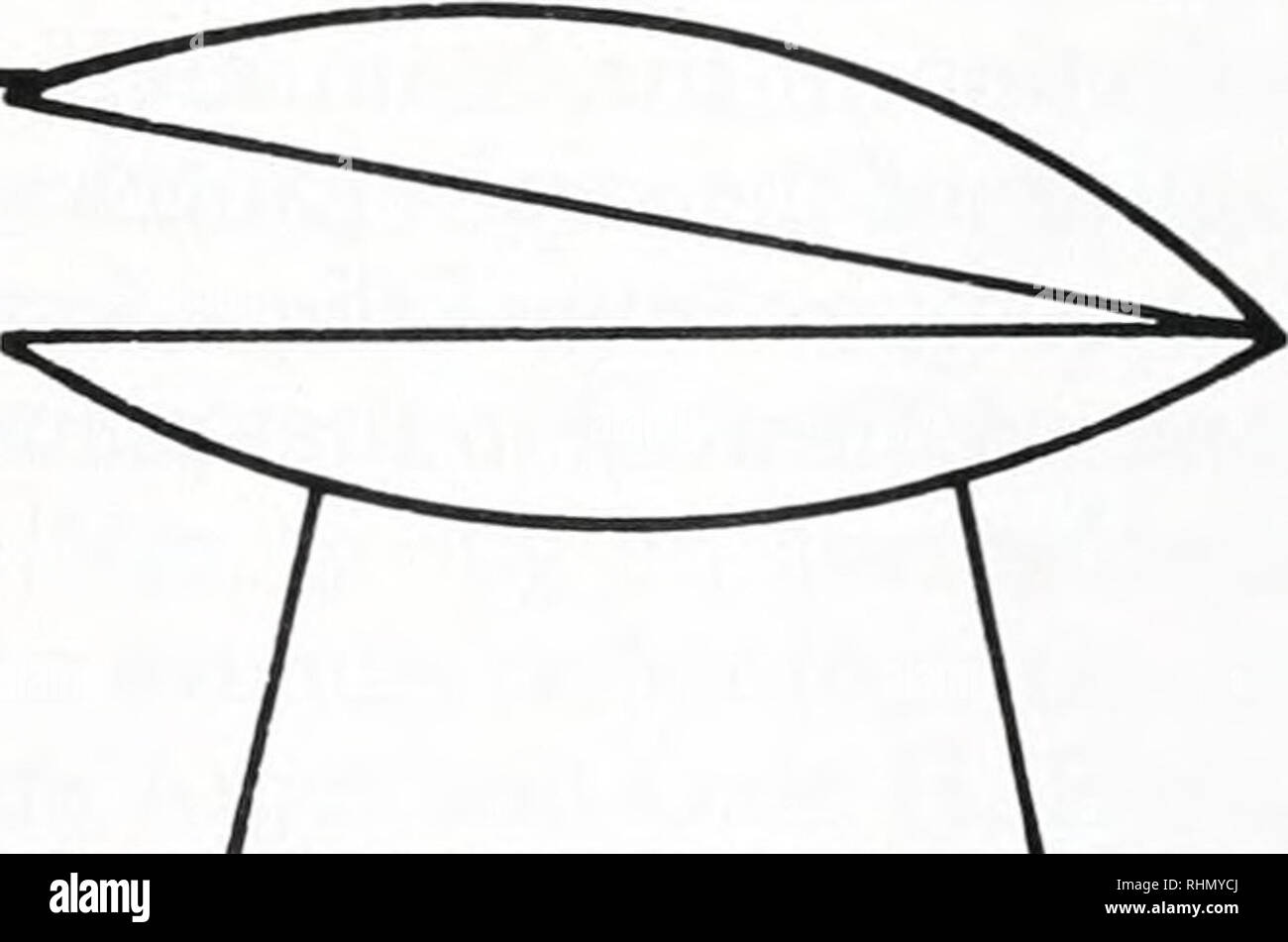 . Die biologische Bulletin. Biologie; Zoologie; Biologie; Meeresbiologie. B Strahl shell tt Manip-Ulator Manometer. Abbildung 1. (A) Jakobsmuschel mit Gape einfügen und Druck die Übertragung von Conduit wie für Druckmessungen im Windkanal vorbereitet; die Verfolgung von Foto, (b) Schematische Ansicht der Strahl mit Dehnungsmessstreifen auf Manipulator montiert und angeordnet sind, tritt die Ventile zur Monitor werden gemeinsam verstellt. Schwimmen Jakobsmuscheln um 25° (Patrick Woodbury, pers. Comm.). Zunächst alle Bohrungen wurden mit geschmolzenem Wachs verstopft; zusätzliche Wachs verband die beiden Ventile mit oder ohne die Gape einfügen. Druck messen Stockfoto