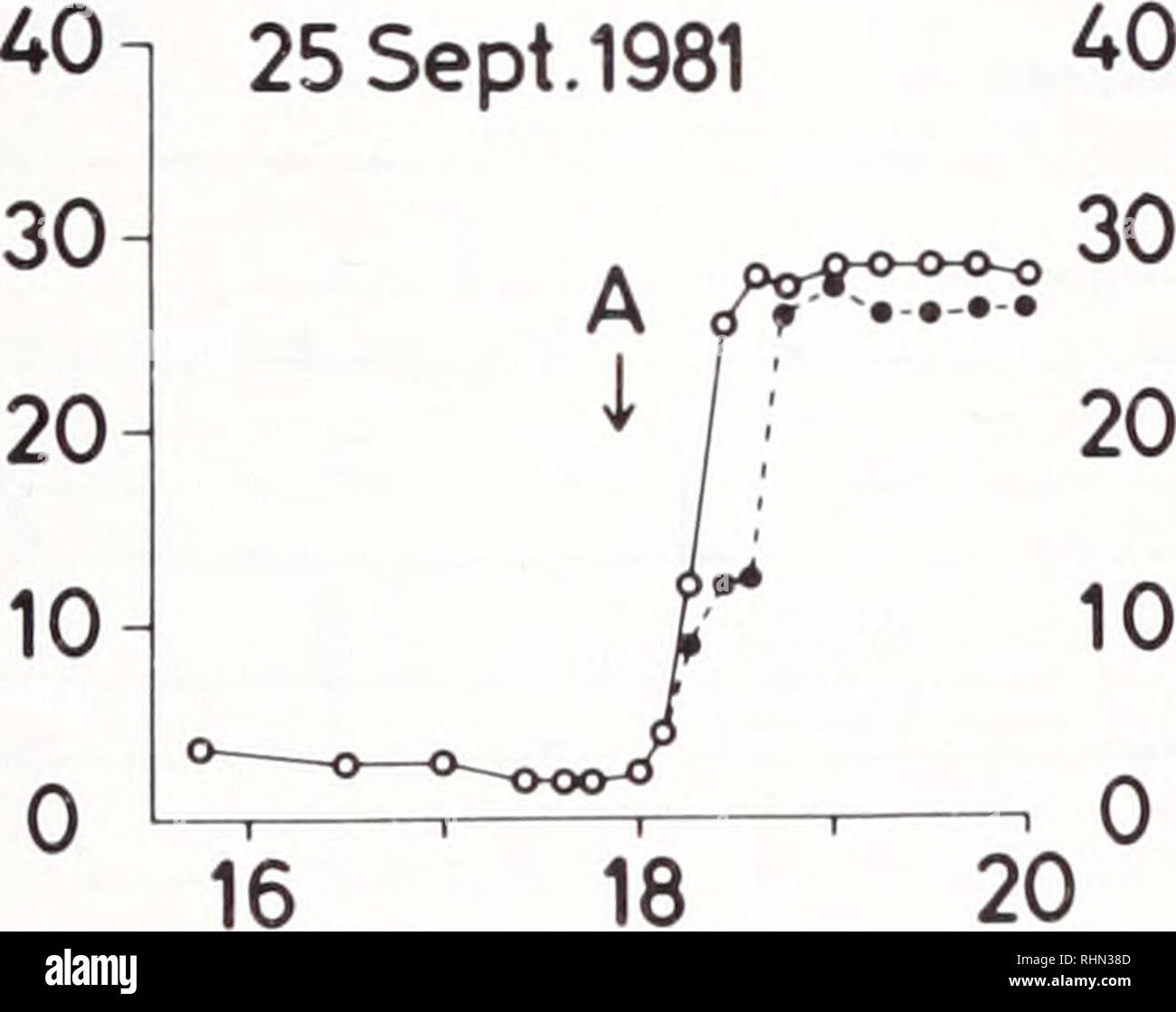 . Die biologische Bulletin. Biologie; Zoologie; Biologie; Meeresbiologie. 29 Nov. 1981 11 13 15 17. 0 1 07.11.1981. Bitte beachten Sie, dass diese Bilder sind von der gescannten Seite Bilder, die digital für die Lesbarkeit verbessert haben mögen - Färbung und Aussehen dieser Abbildungen können nicht perfekt dem Original ähneln. extrahiert. Marine Biologische Laboratorium (Woods Hole, Massachusetts); Marine Biologische Laboratorium (Woods Hole, Massachusetts). Jahresbericht 1907/1908-1962; Lillie, Frank Rattray, 1870-1947; Moore, Carl Richard, 1892 -; Redfield, Alfred Clarence, 1890-1983. Woods Hole, Massachusetts: Marine Biologische Stockfoto