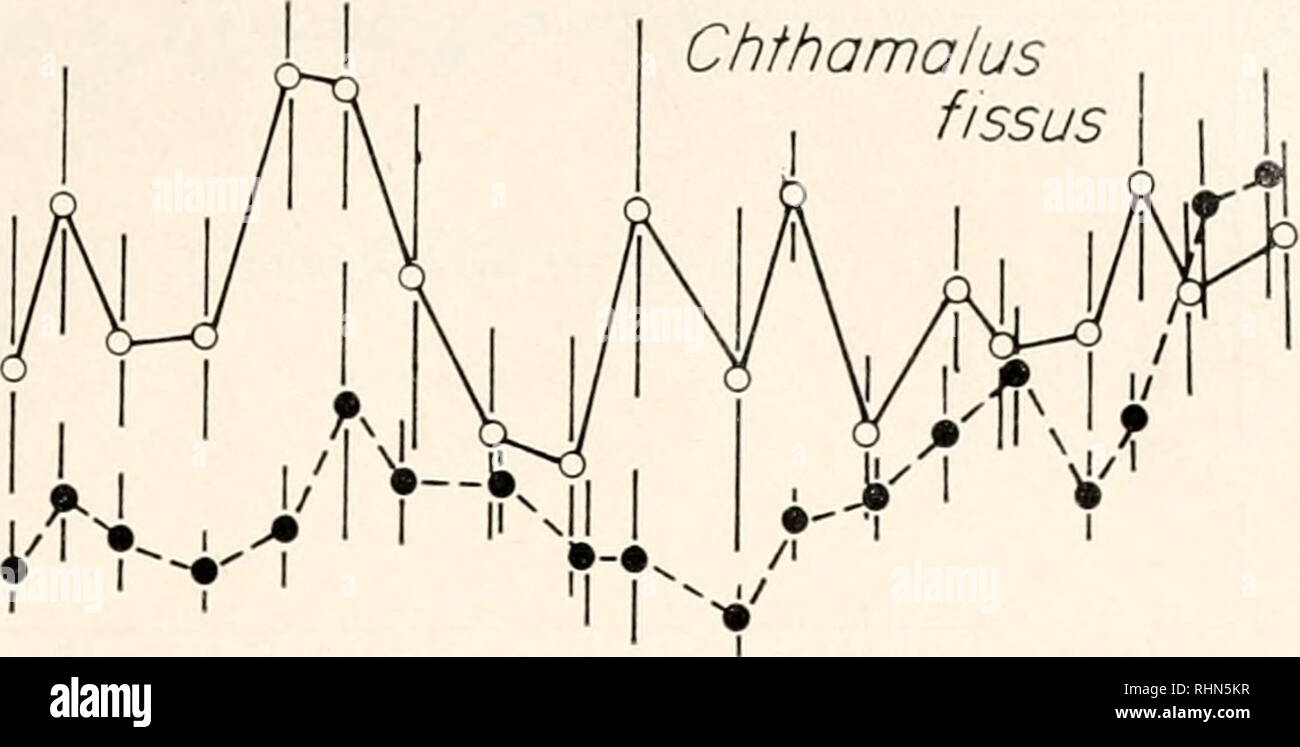 . Die biologische Bulletin. Biologie; Zoologie; Biologie; Meeresbiologie. Die Vervielfältigung in SEEPOCKEN 269 O.I 0.3R 0.2 0) F..2 o Chthamalus fissus. Klicken Sie NDJFMAMJJASONDJFMAMJJASON 1973 1974 0.3 CD-g 0,2 O0 & gt; CL O O.I"} Bo Ion uns Glandula. Bitte beachten Sie, dass diese Bilder sind von der gescannten Seite Bilder, die digital für die Lesbarkeit verbessert haben mögen - Färbung und Aussehen dieser Abbildungen können nicht perfekt dem Original ähneln. extrahiert. Marine Biologische Laboratorium (Woods Hole, Massachusetts); Marine Biologische Laboratorium (Woods Hole, Massachusetts). Jahresbericht 1907/1908-1962; Lillie, Stockfoto