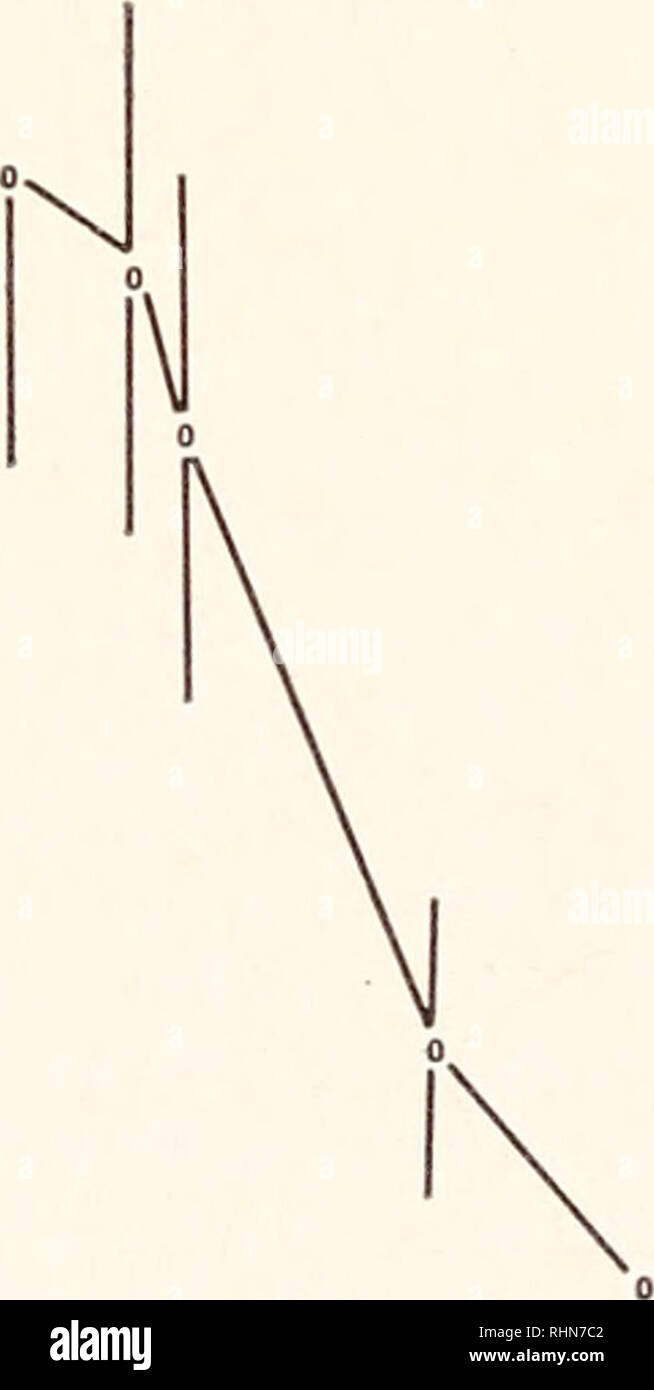 . Die biologische Bulletin. Biologie; Zoologie; Biologie; Meeresbiologie. 324 FRANCIS R. HORNE TABELLE III rtilization von Lebensmitteln während estivation Lebensmittel (mg/mg DNA) Fütterung Estivating Schnecke Schnecke (60 Tage) Betrag, innerhalb von 60 Tagen verbraucht Protein 86,1 ± 3,8 (20) * 67,8 ± 12,0 (21) 18,1 (12,3) ** Carbohydrait - 13,2±5,3 (10) 2,0 ± 1,6 (5) 11,2 (7,6) ** Lipid 13,3 ± 2,4 (12) 15,5 ± 4,1 (11) - * Mittelwert ± Standardabweichung (Zahl). ** MG verbraucht/g Frischgewicht. wie sie eingesetzt waren, ihre jeweiligen Konzentrationen in Bezug auf den internen Standard DNA geäußert wurden. Durch die Verwendung von DNA-Werte einstellen Stockfoto