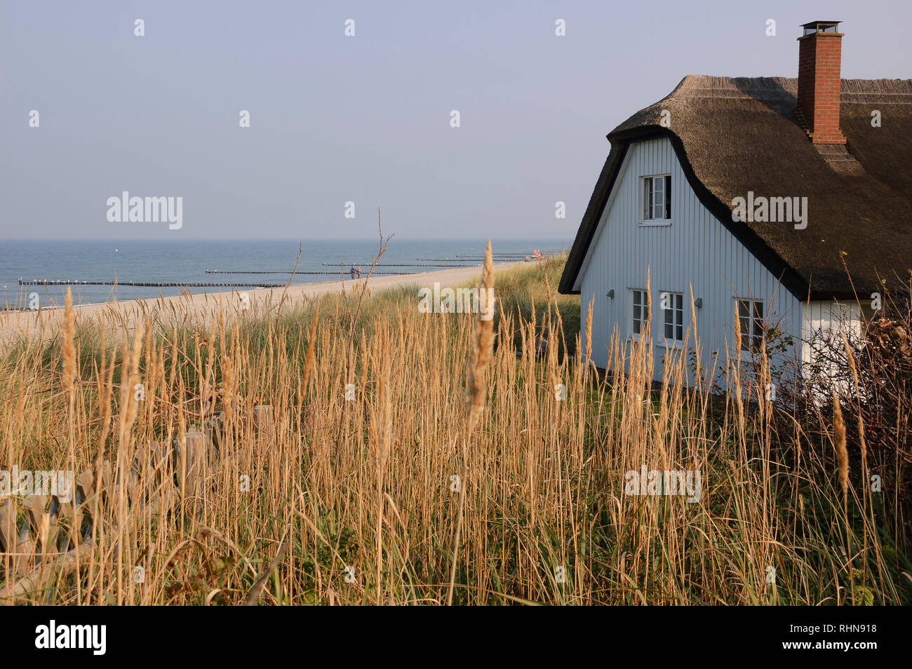 Ahrenshoop auf der Halbinsel Fischland, Darß, Zingst, Mecklenburg-Vorpommern, Deutschland Stockfoto