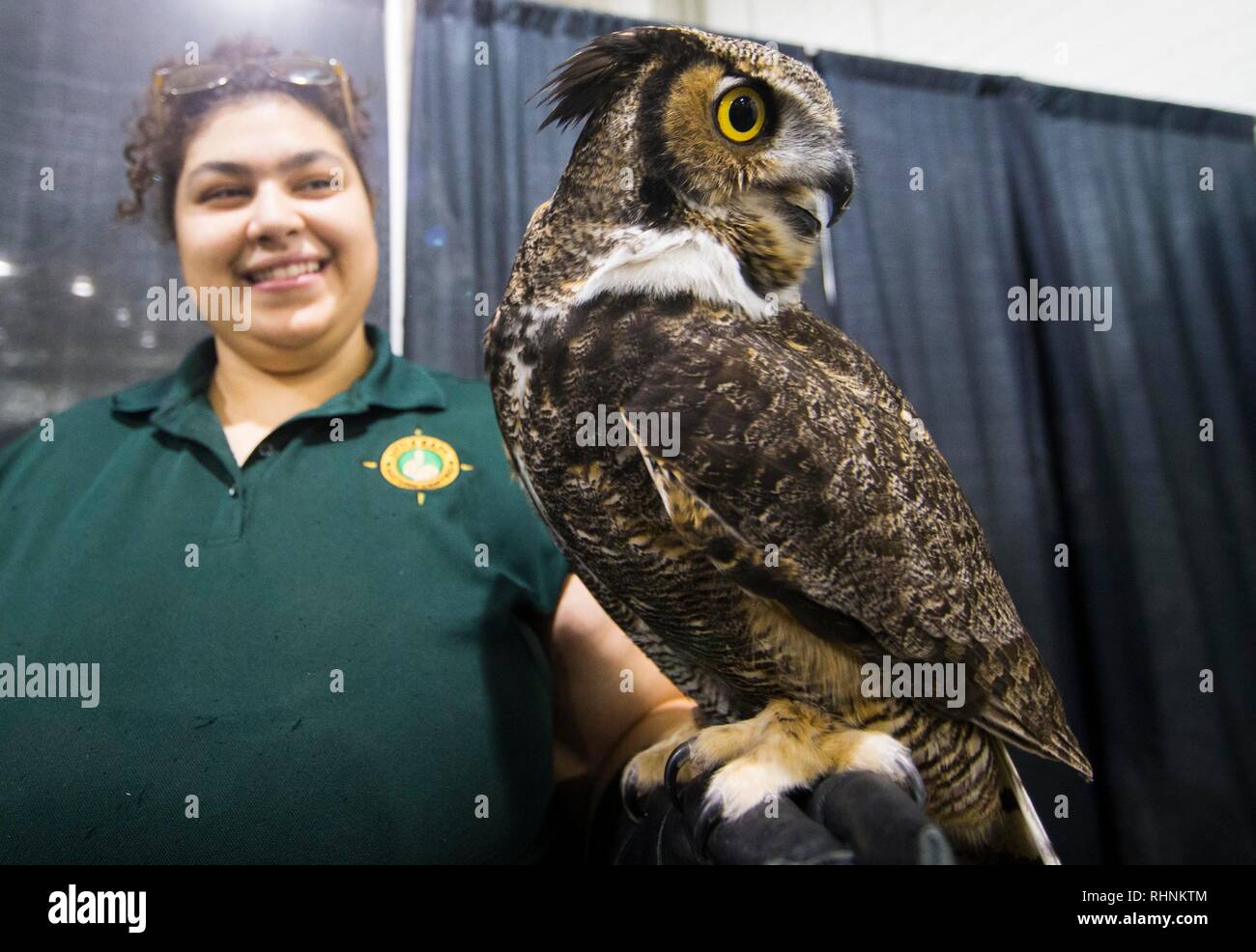 Toronto, Kanada. 3 Feb, 2019. Eine Eule ist während der 2019 Wildlife Festival in Toronto, Canada, Jan. 3, 2019 gesehen. Mit Papageien, Riesenschlangen, Geier, Faultiere und vieles mehr, ist dieses Festival von Samstag bis Sonntag bietet mehr als 40 lebende Tier Exponate für die Besucher über die Rettung und Erhaltung zu erfahren. Credit: Zou Zheng/Xinhua/Alamy leben Nachrichten Stockfoto