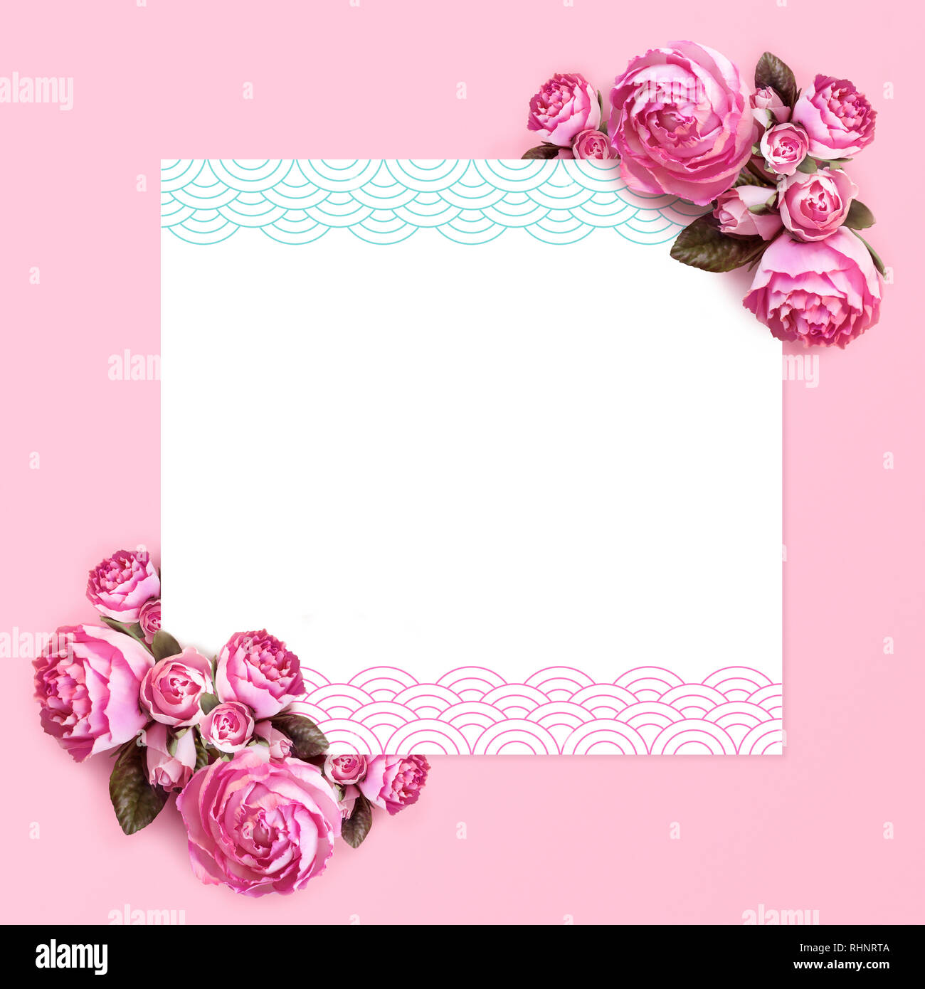 Kreative Gestaltung Zusammensetzung Rahmen Isoliert Blumen