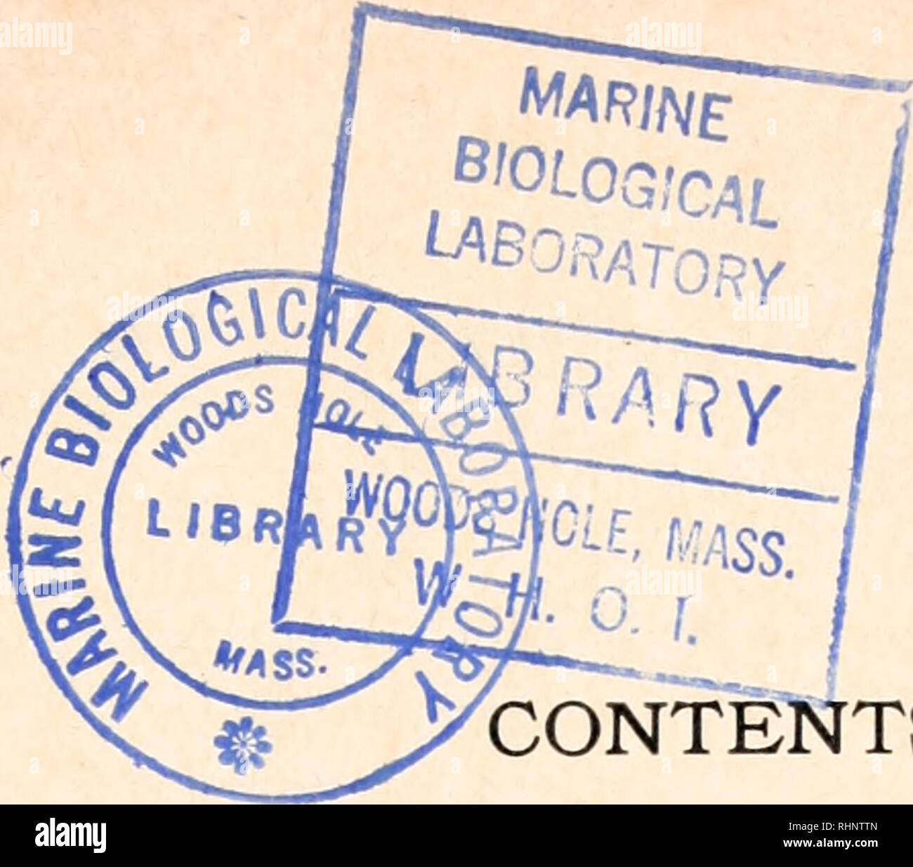 . Die biologische Bulletin. Biologie; Zoologie; Biologie; Meeresbiologie. Inhalt Nr. 1. Februar 1967 Seite JACKSON, Charlotte, und Robert E. SCHWARZ Die subzelluläre Verteilung von einigen hydrolytische Enzyme in unbefruchteten Eier der Seeigel Arbacia punctulata........................... 1 JOHANSEN, KjELL, und Robert L. VADAS Sauerstoffaufnahme und Antworten Stress in Seeigel zu respiratorischen...... 16 JONES, JACK COLVARD Spermatocysts in Aedes aegypti (Linnaeus) ........................ 23 Lewis, John B. stickstoffhaltigen Ausscheidung in den tropischen Seeigel Diadema antillarum Philippi .............. Stockfoto