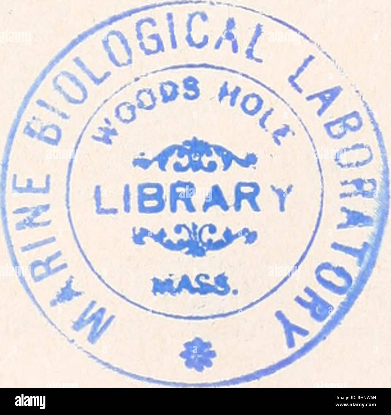 . Die biologische Bulletin. Biologie; Zoologie; Biologie; Meeresbiologie. CORPUS ALLATUM DES VERHUNGERTEN LEUCOPHAEA 529 D'Angelo, S. A., A. S. GORDON UND H. A. CHARIPPER, 1948. Die Wirkung von INANITION auf der anterior pituitary-adrenocortical Wechselbeziehung in der Meerschweinchen. Endocrinol., 42: 399-411. ENGELMANN, F., 1957. Die chemnitzer der Ovarfunktion bei der Ovoviviparen Schabe Leuco - madcrac phaea (Fabrikationsnr.). /. Isoliertes Kurt von Figura, 1: 257-278. VON HARNACK, M., 1958. Die Wirkung von Hunger auf das endokrine Steuerung der Eierstöcke durch das Corpus allatum im Insekt, Leucophaea Maderae. Anat. Rcc., 130: 446. Stockfoto