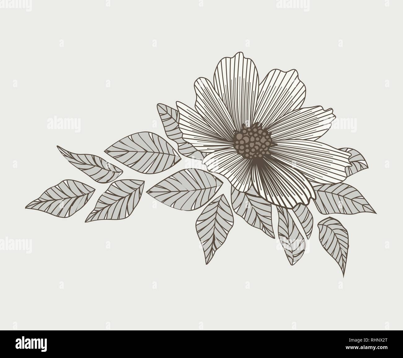 Silhouette Blumen mit Blättern Stock Vektor