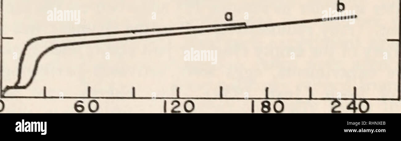 5 Minuten Eier Stockfotos Und Bilder Kaufen Alamy