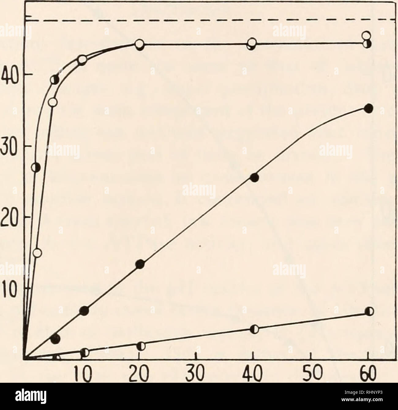 Echte krebse Fotos und Bildmaterial in hoher Auflösung Alamy