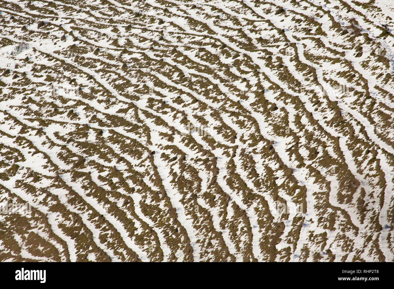Schnee, der auf terracettes gefallen ist. Terracettes sind von der langsamen Bewegung der Boden als mehrere Bergrücken an Hanglagen gebildet. North Dorset Engl Stockfoto