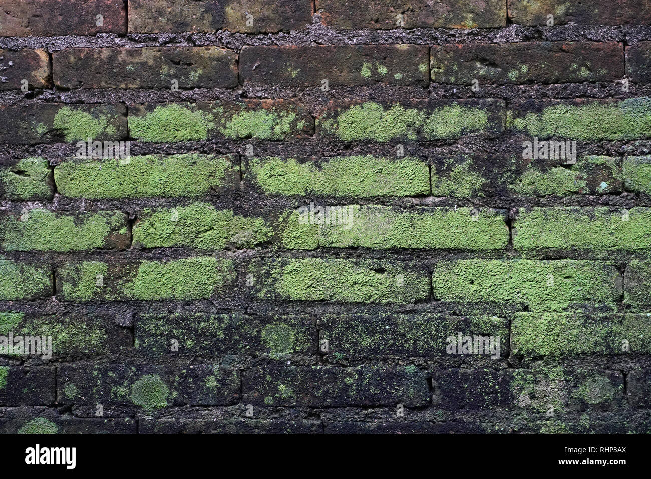 Alten Ziegelmauern mit Flechten Textur Stockfoto