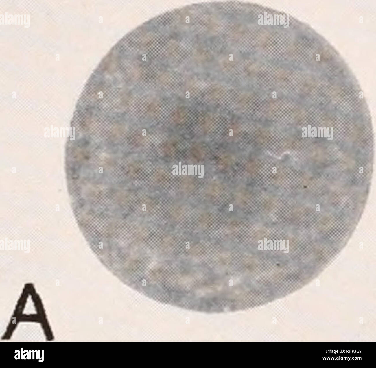 5 Minuten Eier Stockfotos Und Bilder Kaufen Alamy