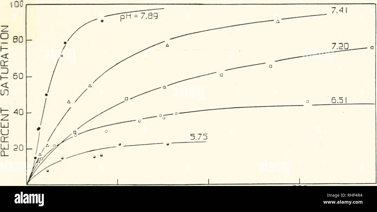 . Die biologische Bulletin. Biologie; Zoologie; Biologie; Meeresbiologie. oq loq pO Abb. 3. Zur Erläuterung dieser Abbildung, siehe Text. 100 200 SAUERSTOFF DRUCK: 300. Abb. 4. Sauerstoff Dissoziation Kurven bei konstantem pH-Wert des Blutes des Tautog. Die Kurven sind nach Gleichung (3) mit Hilfe der folgenden Konstanten: pH-CM 02 ao Ki K2X 10 = l/Ki l/Kt 7,89 0 1.0 0 .19 232 7.41 .5 .5 0 .0286 .0156 35 802 7.20 1.0 0 0 0.008 125 6.51 .5 0 .5 0,022 45 5,75 0,3 0 0,7 0,022 45 gezogen. Bitte beachten Sie, dass diese Bilder sind von der gescannten Seite Bilder, die digital für die Lesbarkeit erhöht worden sein können extrahiert-c Stockfoto