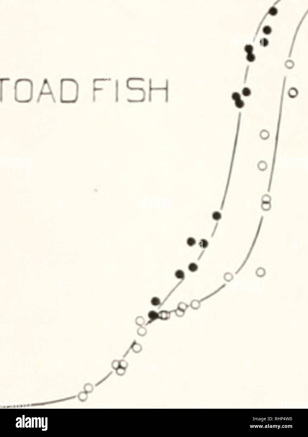 . Die biologische Bulletin. Biologie; Zoologie; Biologie; Meeresbiologie. Sauerstoff KRÖTE FISCH. o AIR • OXXGEN P H, H, H Fi über 500 mm, der Tautog 650 mm, und der goosefish 350mm. Kxcept in der Säure reicht Der krötenfisch Blut, die Proben equilibriert mit Sauerstoff mit mehr Sauerstoff als die mit Luft behandelt. Aber es bleibt immer noch die Frage, ob die Sauerstoff dissoziation ich urvcs verschoben haben oder ob Zinn - Menge an Sauerstoff, die kombiniert werden können, wurde verringert. Schien es wünschenswert, damit der gesamte Sauerstoff Dissoziation Kurven an verschiedenen Wasserstoffion zu bestimmen Stockfoto