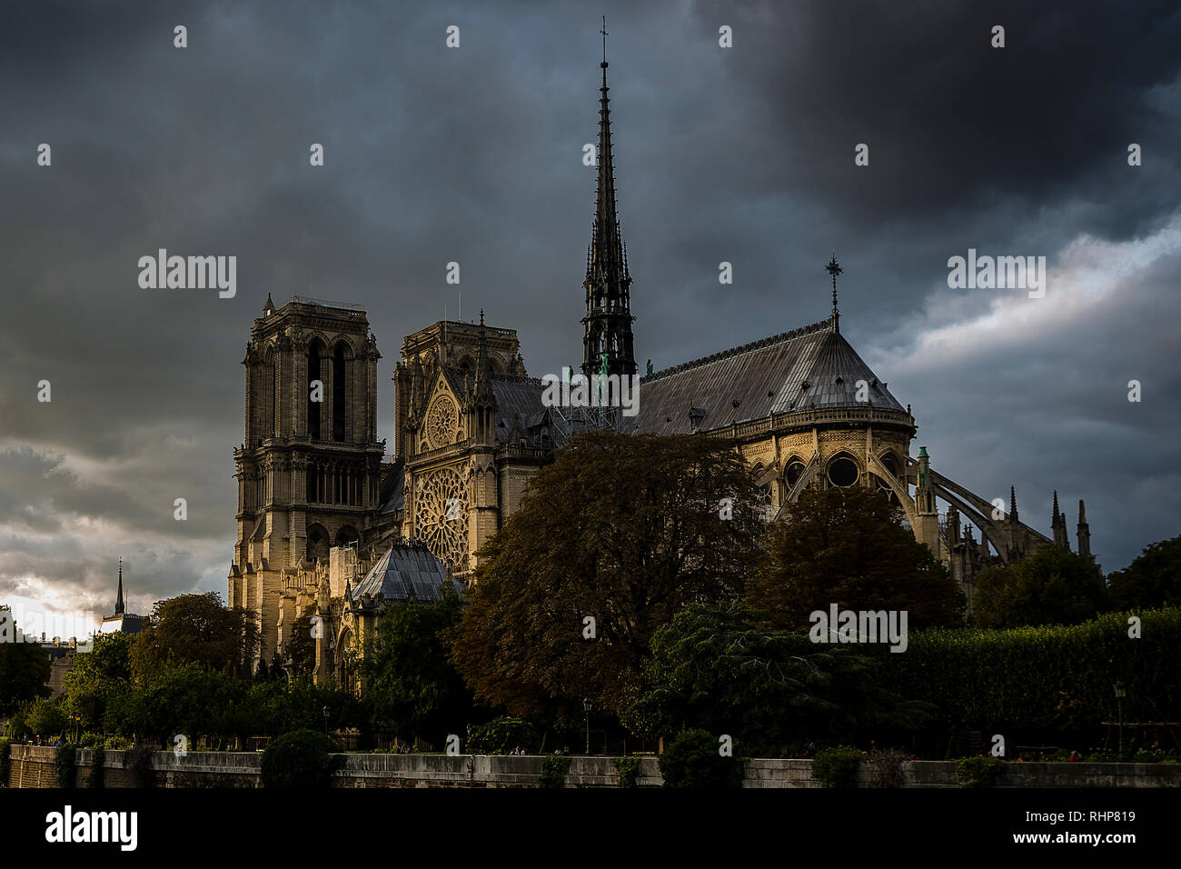 Sommer an der Kathedrale Notre Dame in Paris, Frankreich Stockfoto