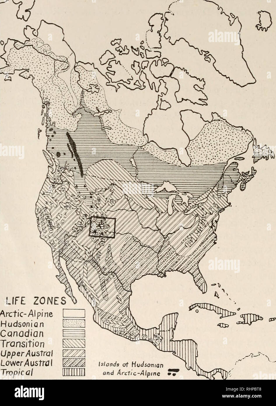 . Die biologische Bulletin. Biologie; Zoologie; Biologie; Meeresbiologie. GIDEON S. DODDS. östlichen und westlichen Arten. Die biota ist daher aus einer Mischung von nördlichen und südlichen, östlichen und westlichen Formen. Berichte über Pflanzen, Vögel und Säugetiere bezeugen den Reichtum und die Vielfalt des Lebens hier, wo so unterschiedlichen Bedingungen verdichtet werden innerhalb eines eingeschränkten Bereichs. In meinem ehemaligen Papier ich bezog die Entomostraca auf meiner Liste. Leben Zonen arktisch-alpinen Hudsonian kanadischer Übergang Ober-/Austral LoweMustrdl tropischen Inseln und Arc-fic-Alpme Abb. i. Life-zone Karte von Nordamerika mit Stockfoto