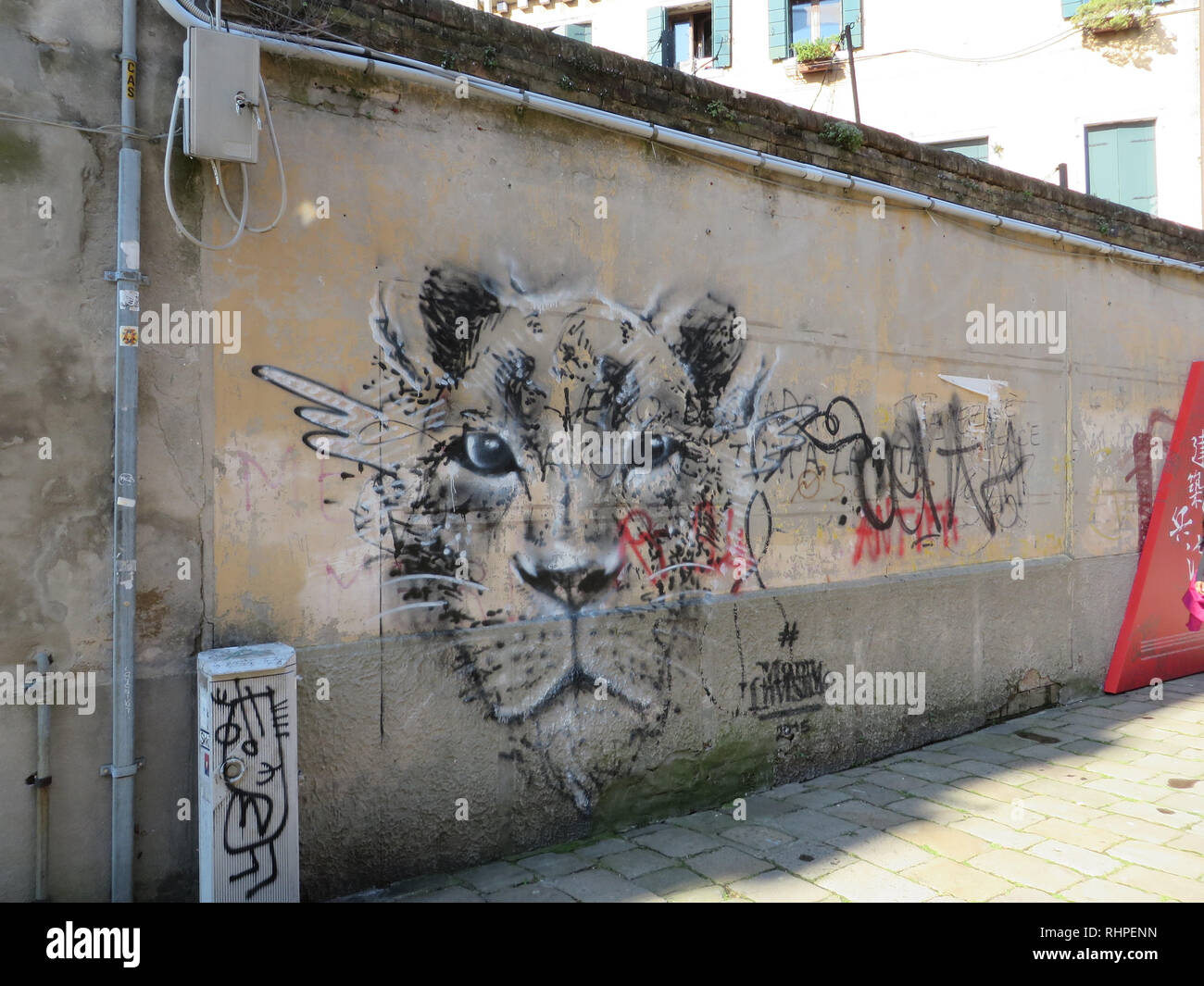 Graffiti Kunst der Tiger auf einer Wand in der Stadt Stockfoto