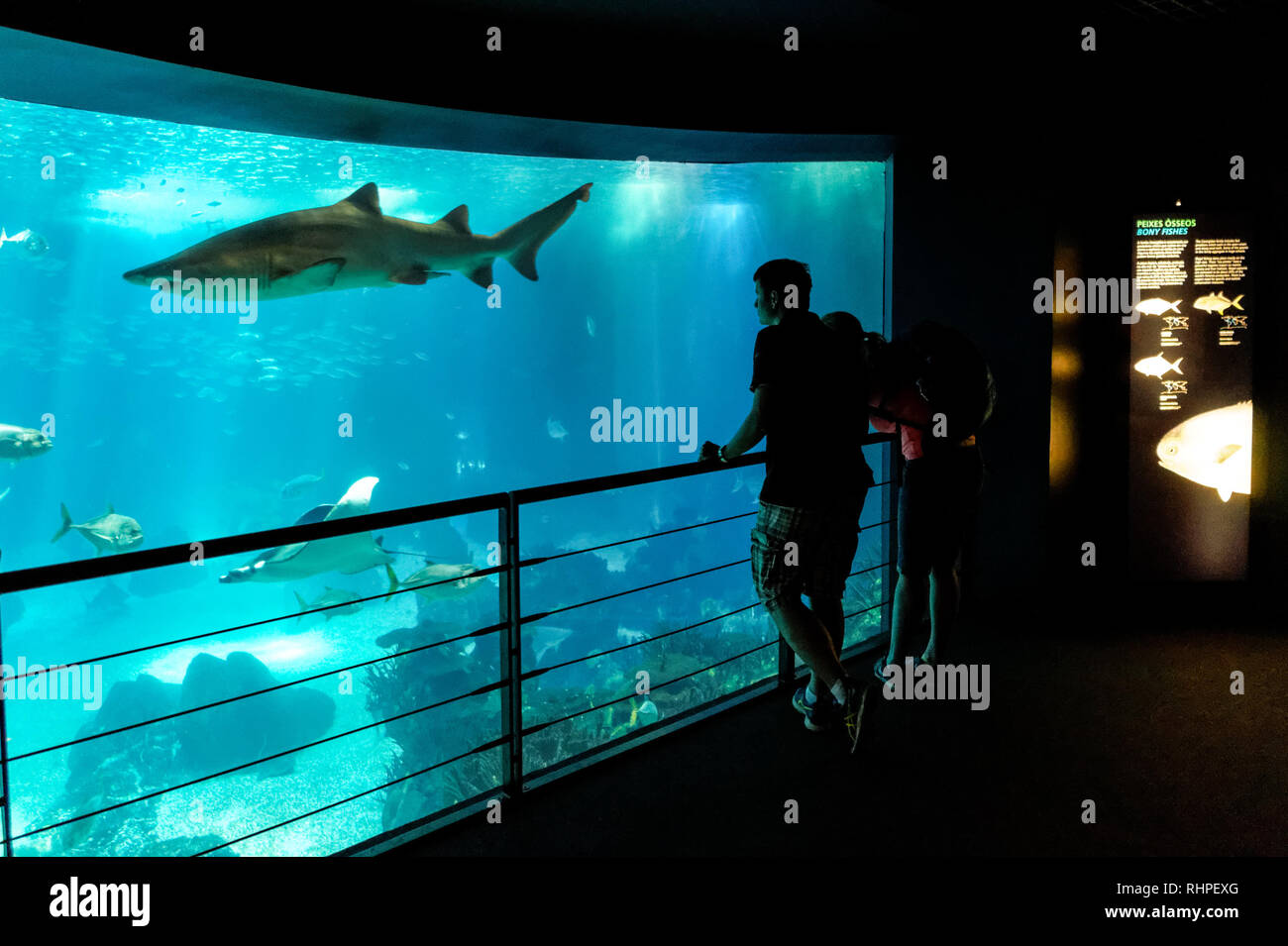 Touristen, die in der Lissabonner Ozeanarium, Lissabon, Portugal Stockfoto