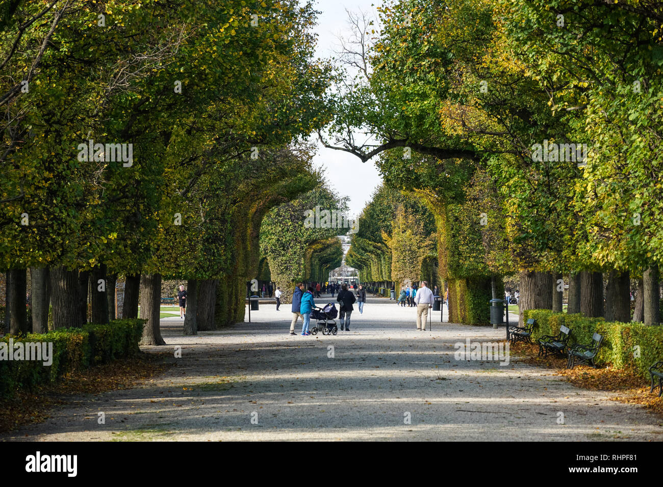 Schloss Schönbrunn Gärten in Wien, Österreich Stockfotografie Alamy