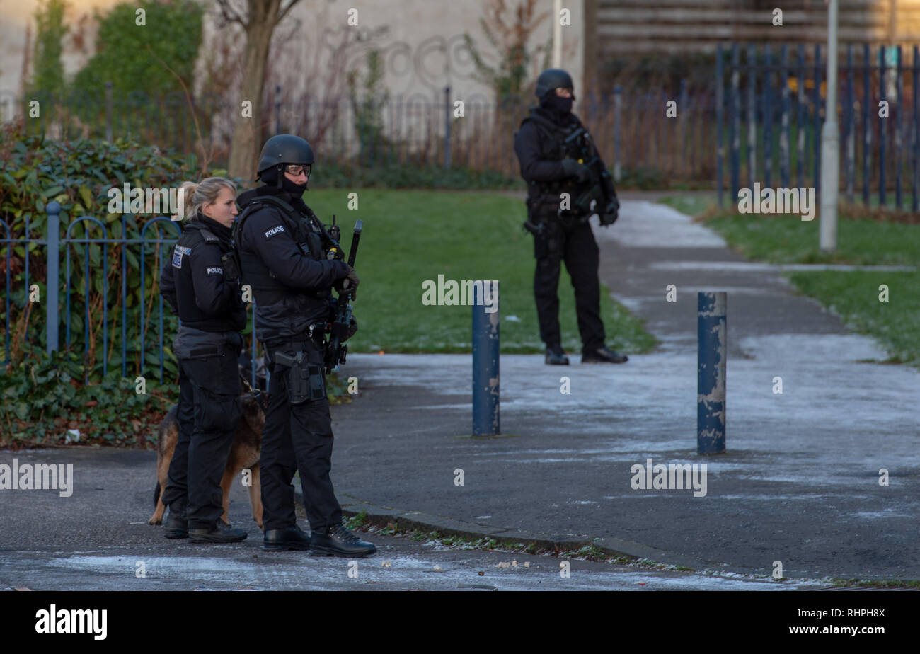 Bewaffnete Polizei und Hund Einheiten außerhalb eines flach auf stenhouse Street West, Edinburgh Stockfoto