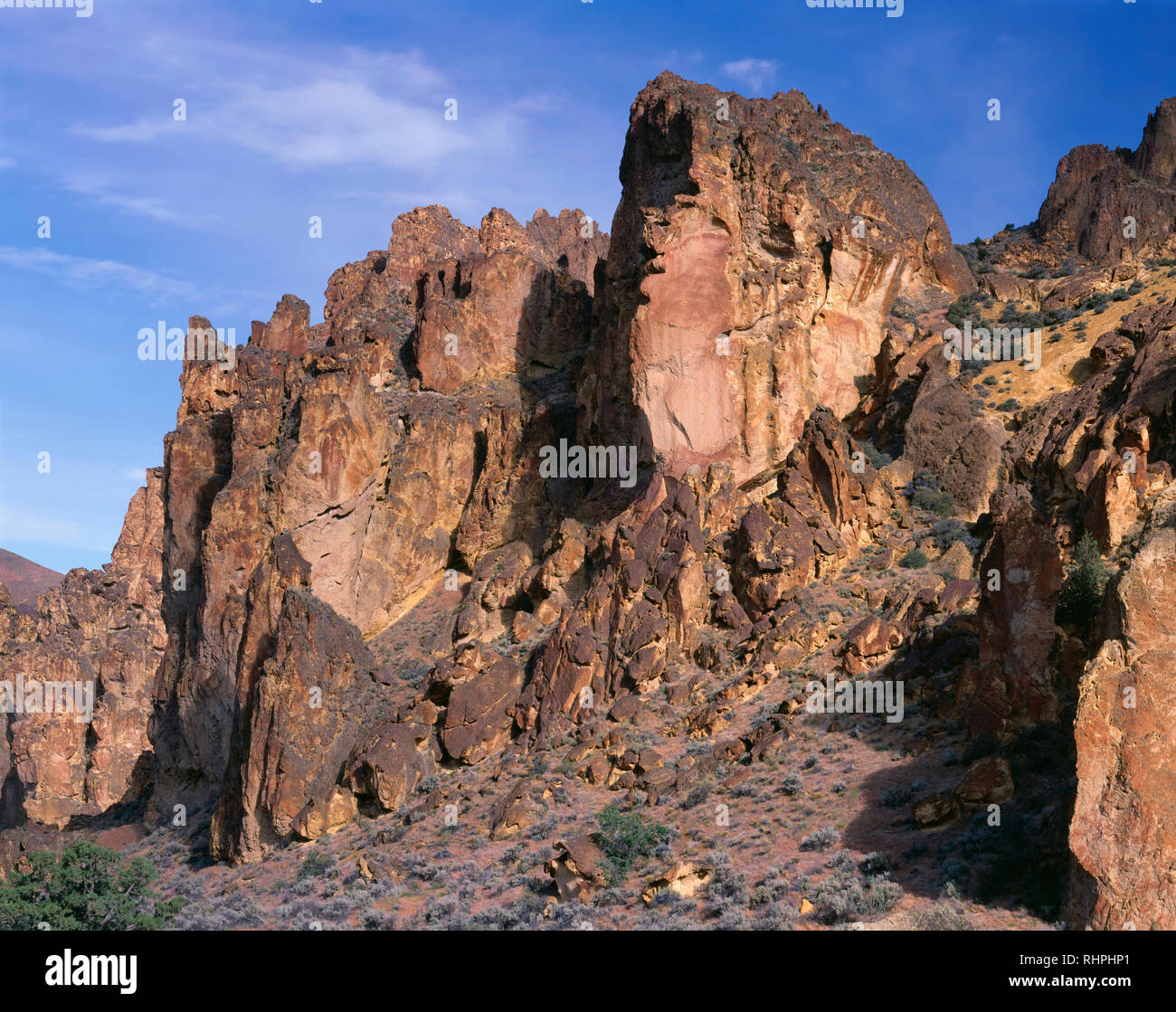 USA, Oregon, Leslie Gulch, hoch aufragenden Felsformationen mit Waben sind aus komprimierten vulkanische Asche namens Leslie Gulch Tuff gebildet. Stockfoto