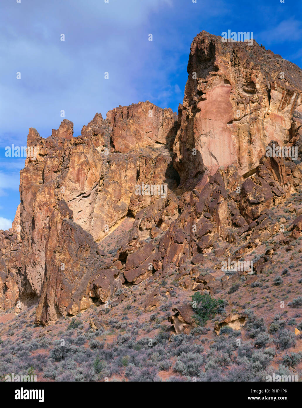USA, Oregon, Leslie Gulch, hoch aufragenden Felsformationen mit Waben sind aus komprimierten vulkanische Asche namens Leslie Gulch Tuff gebildet. Stockfoto
