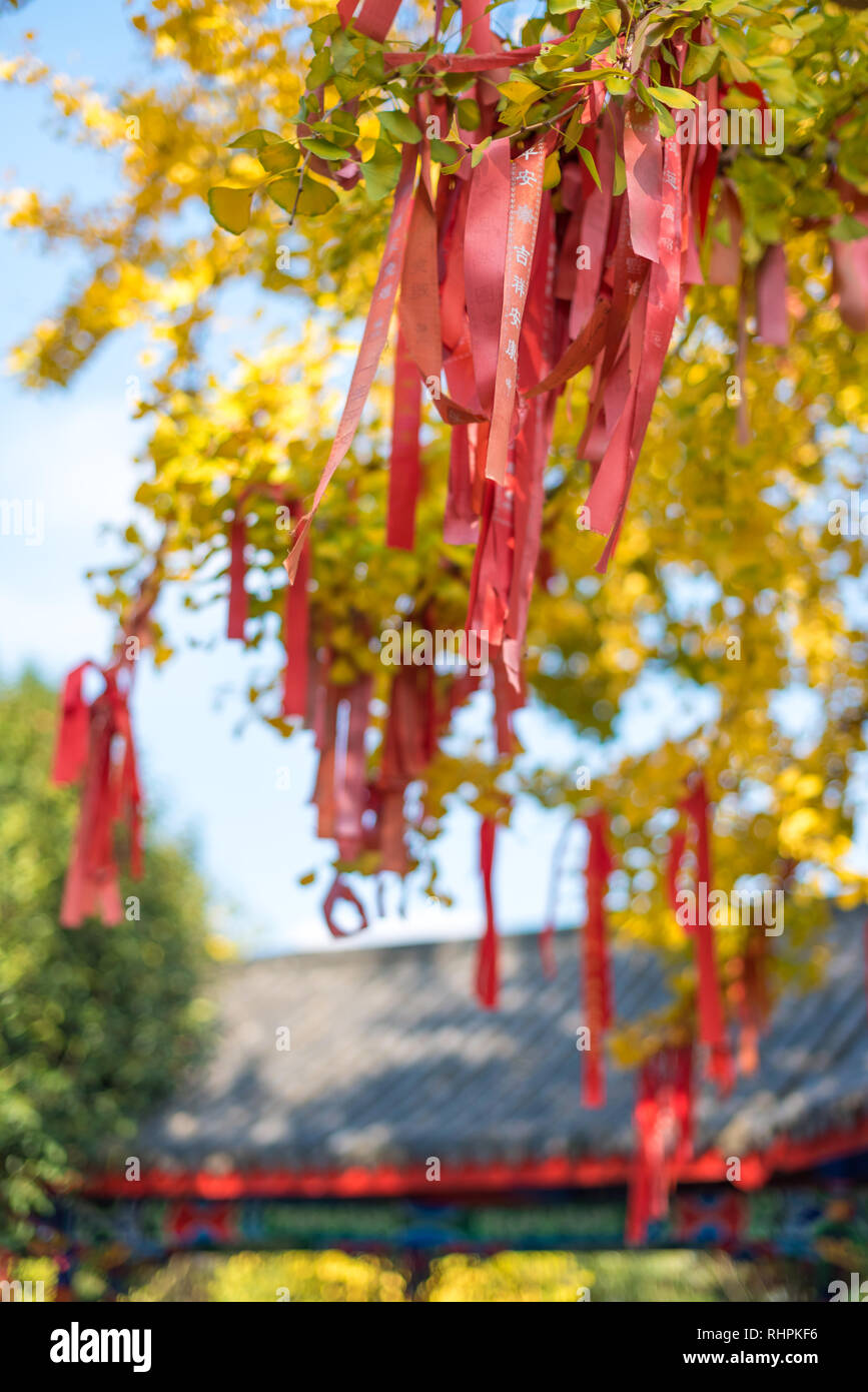 Yunding Shicheng, Provinz Sichuan, China - 29.November 2015: rote Bänder mit dem Wunsch schreiben hängen an Bäumen mit gelben Blätter in der Nähe von einem buddhistischen Tempel Stockfoto