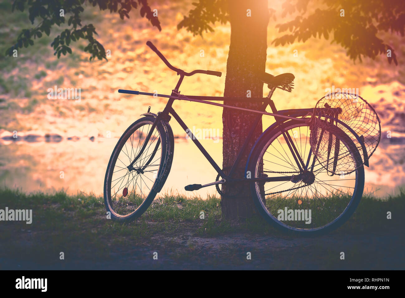 Vintage Fahrrad durch Baum bei Sonnenuntergang mit Schmetterling Netz angeschlossen. Sonne im Hintergrund, weiches Aussehen. Belarus, Europa, Stockfoto