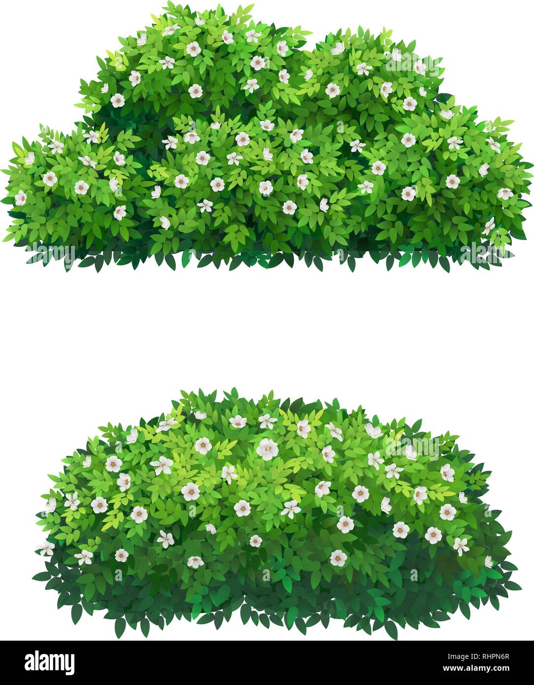 Grüne Büsche und Baumkrone mit weißen Blüten. Stock Vektor