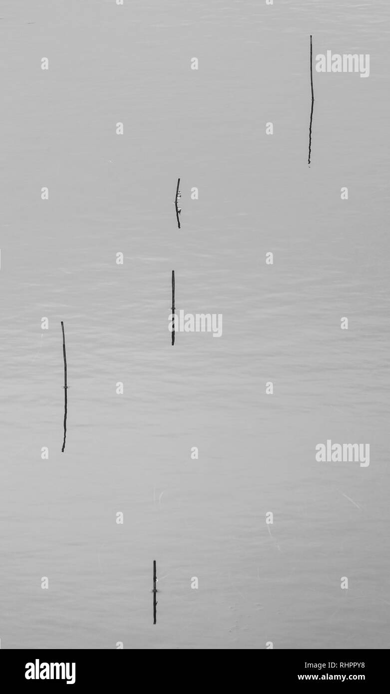 Glencoe loch minimalistischen geschossen - Gras stammt aus Wasser Stockfoto