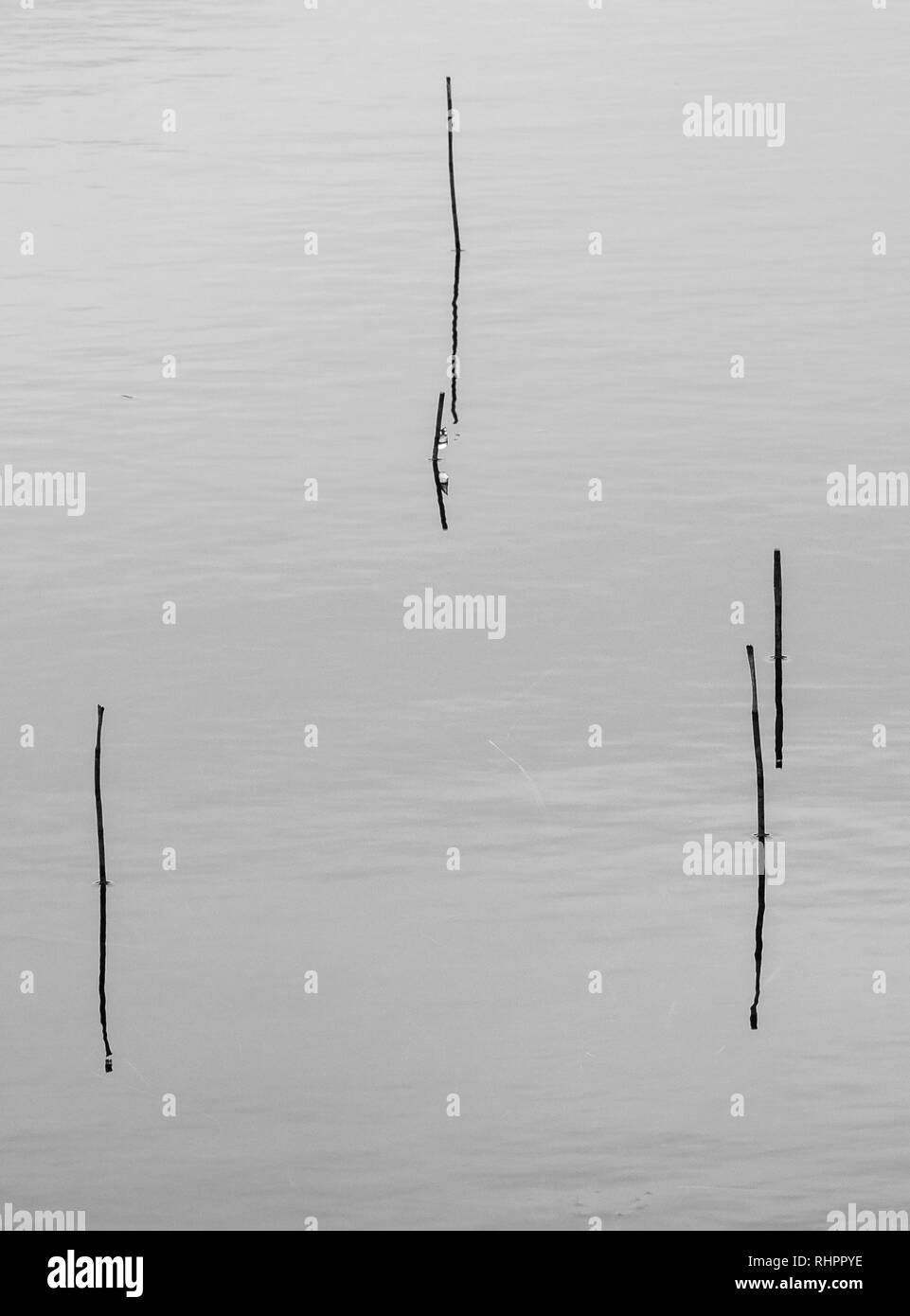 Glencoe loch minimalistischen geschossen - Gras stammt aus Wasser Stockfoto