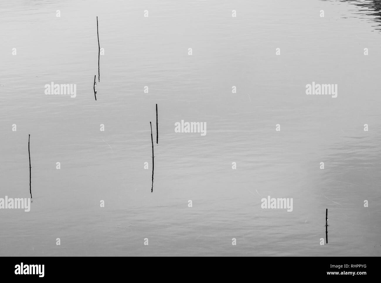 Glencoe loch minimalistischen geschossen - Gras stammt aus Wasser Stockfoto