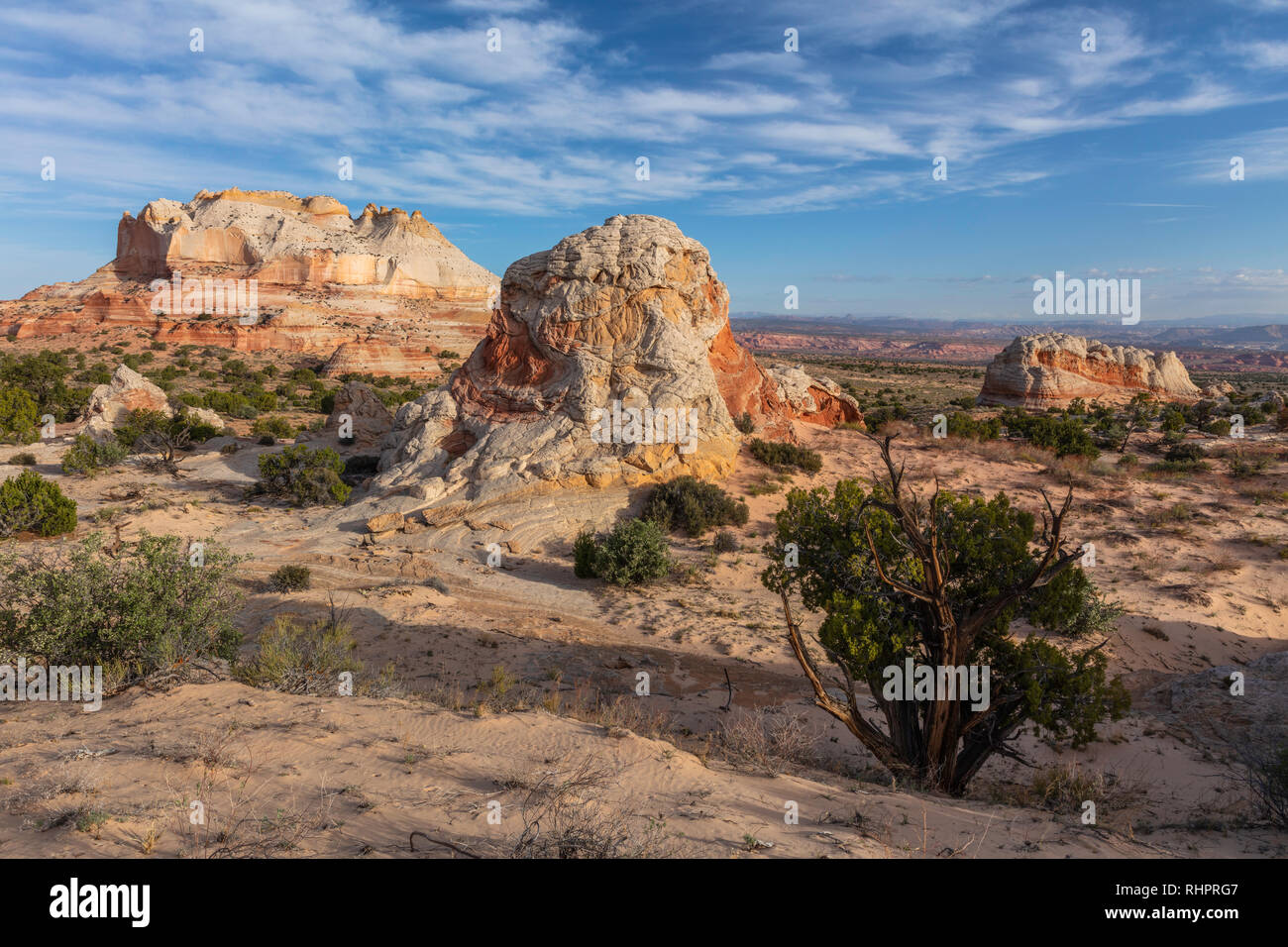 Bunte Felsformationen, White Pocket, Vermilion Cliffs National Monument, Arizona Stockfoto